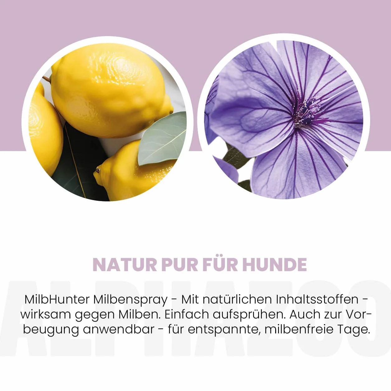 Alphazoo Milbhunter Spray dla psów 250 ml z eukaliptusem cytrynowym i geraniolem przeciwko roztoczom