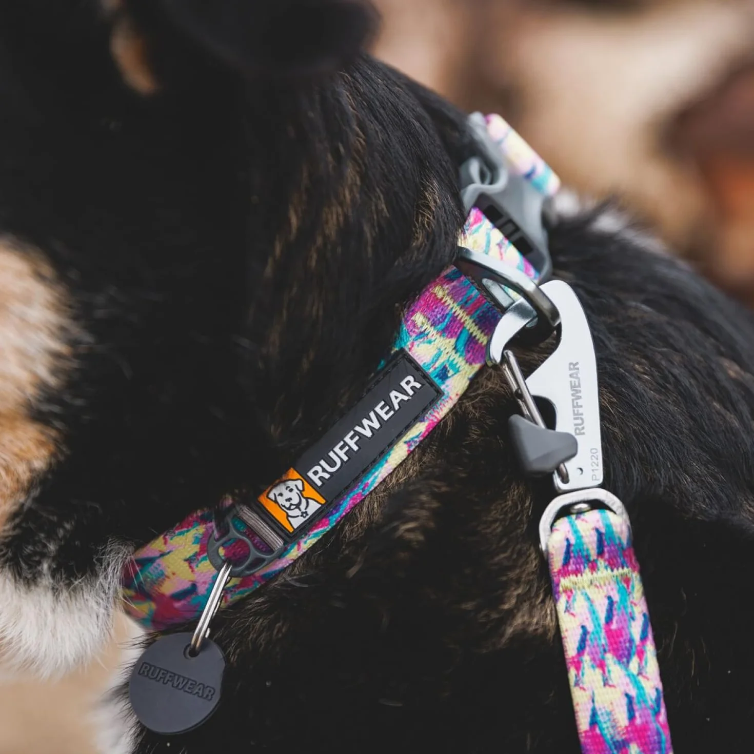 Ruffwear Średnia obroża dla psa z przodu, z aluminiowym pierścieniem w kształcie litery V, wygodna i mocna, z boczną klamrą i taśmą, do spacerów z psem, rozmiar M (36-51 cm), dziki kwiat