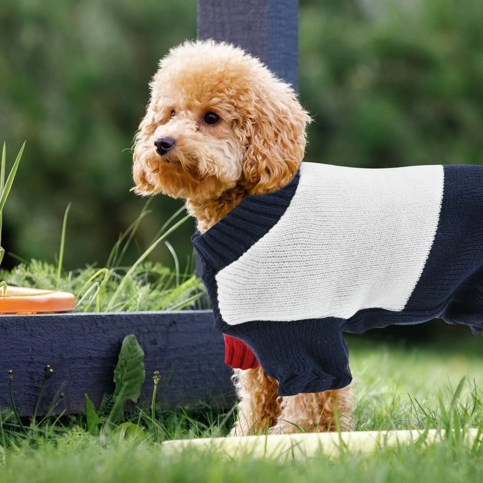 Sweter dla psa, elastyczny, miękki, pulower, zimowa kamizelka dla psa, komfort i ciepło, golf, dzianinowe ubrania dla psów, kolor, żywy, łatwy do zakładania psa, bluza dla psów, dziewcząt, chłopców
