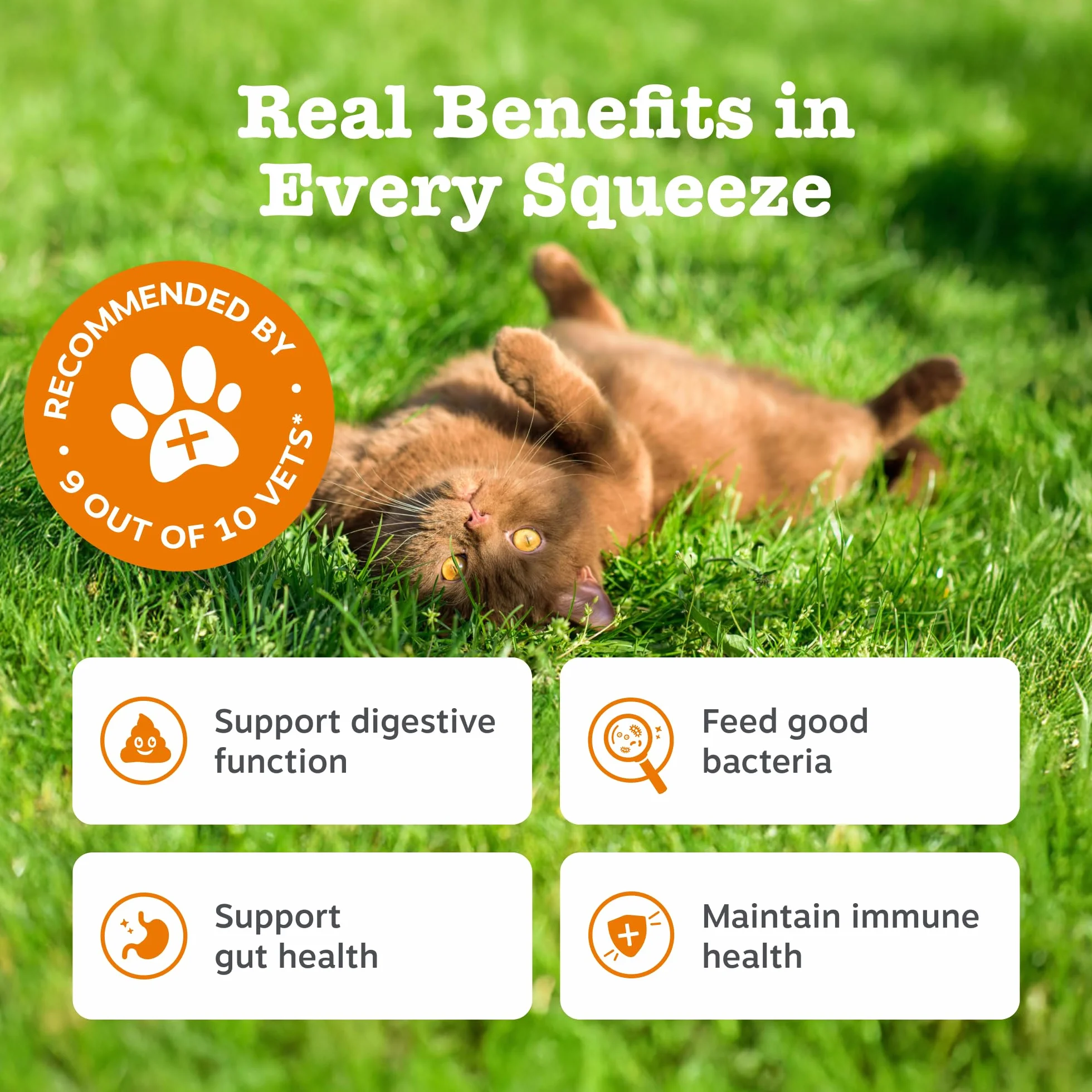 Zesty Paws Digestion & Prebiotics Paste for Cats | Helps Gut Health, Digestive Function & Immune Support | Contains Algal Oil, Postbiotics, Inulin, Vitamins C & E | Real Fish Flavour | 75g