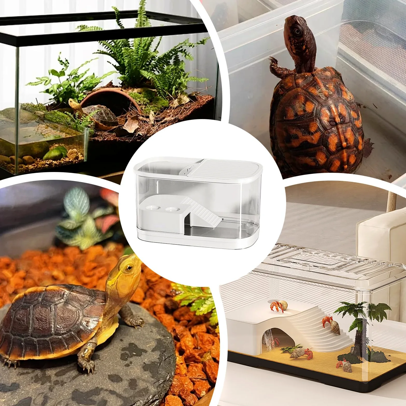 Terrarium dla brodatego | Vivarium dla gadów, pojemnik na ptaszniki, kameleony, brodate , gekony, ?ó?wie, ?aby | Pojemnik siedliskowy do hodowli ptaszników Dla pająków, kameleonów, ptaszników, brodatych smoków, żab, węży, gekonów i żółwi