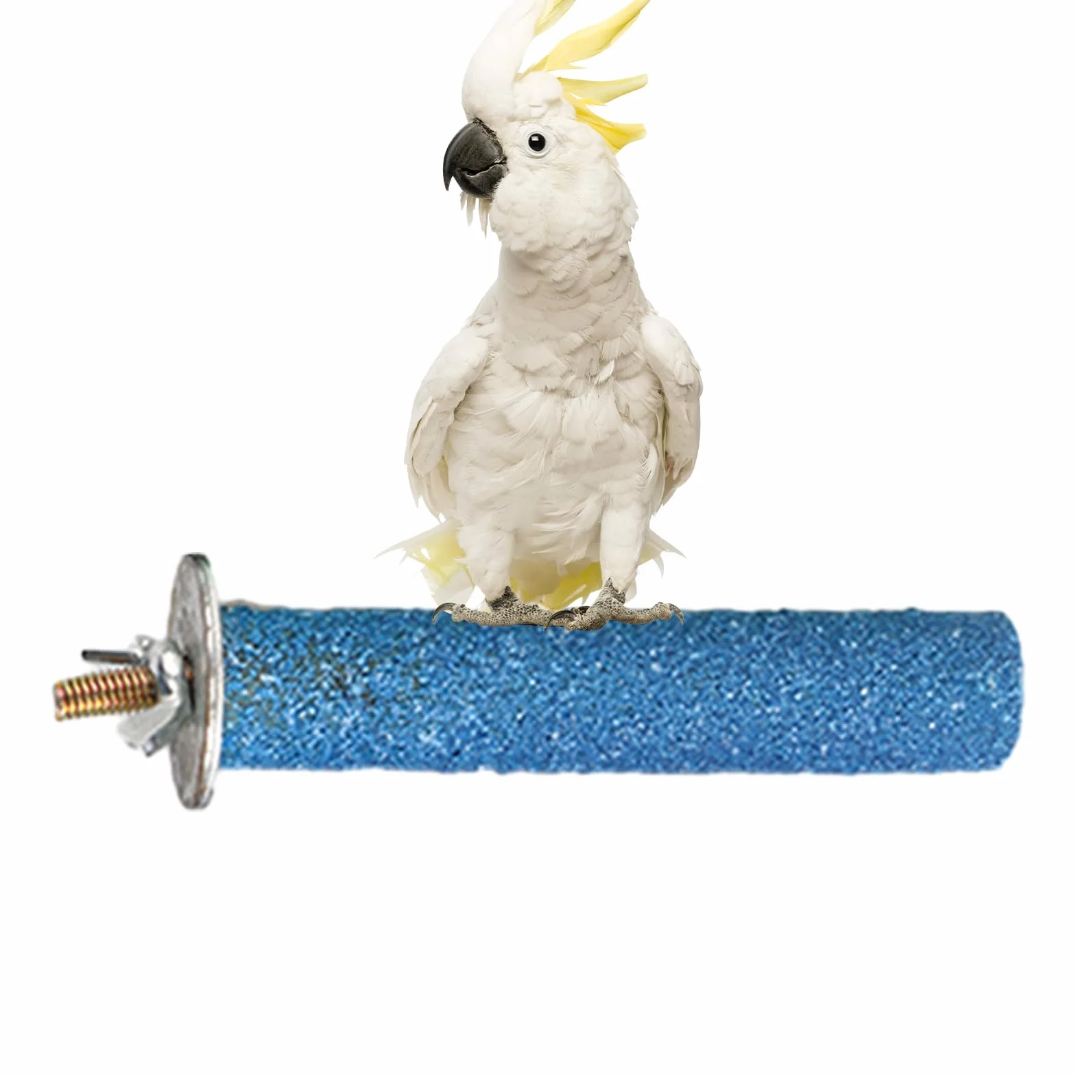 Szlifierka dla ptaków, okonia w klatce dla ptaków – Parrot Frosted stojak na okonie do klatki, zabawka do ostrzenia pazurów, dla papug, papug, gołębi