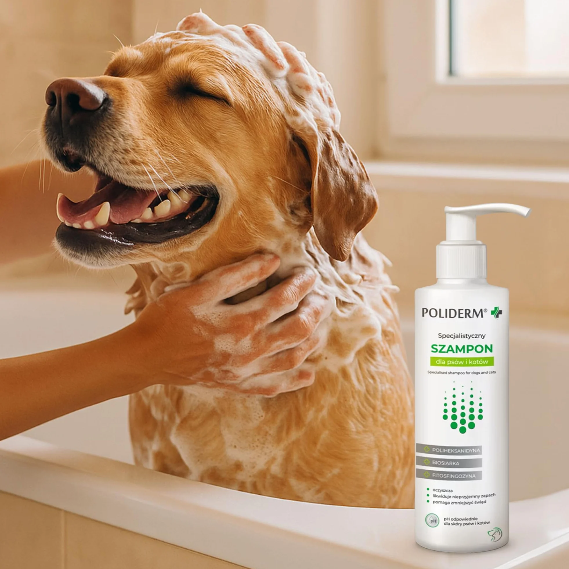 SZAMPON 250 ml, na świąd i łupież, z poliheksanidyną, biosiarką i fitosfingozyną, pielęgnacja wrażliwej skóry skłonnej do łupieżu, dermatoz i stanów zapalnych, zdrowa skóra i lśniącą sierść
