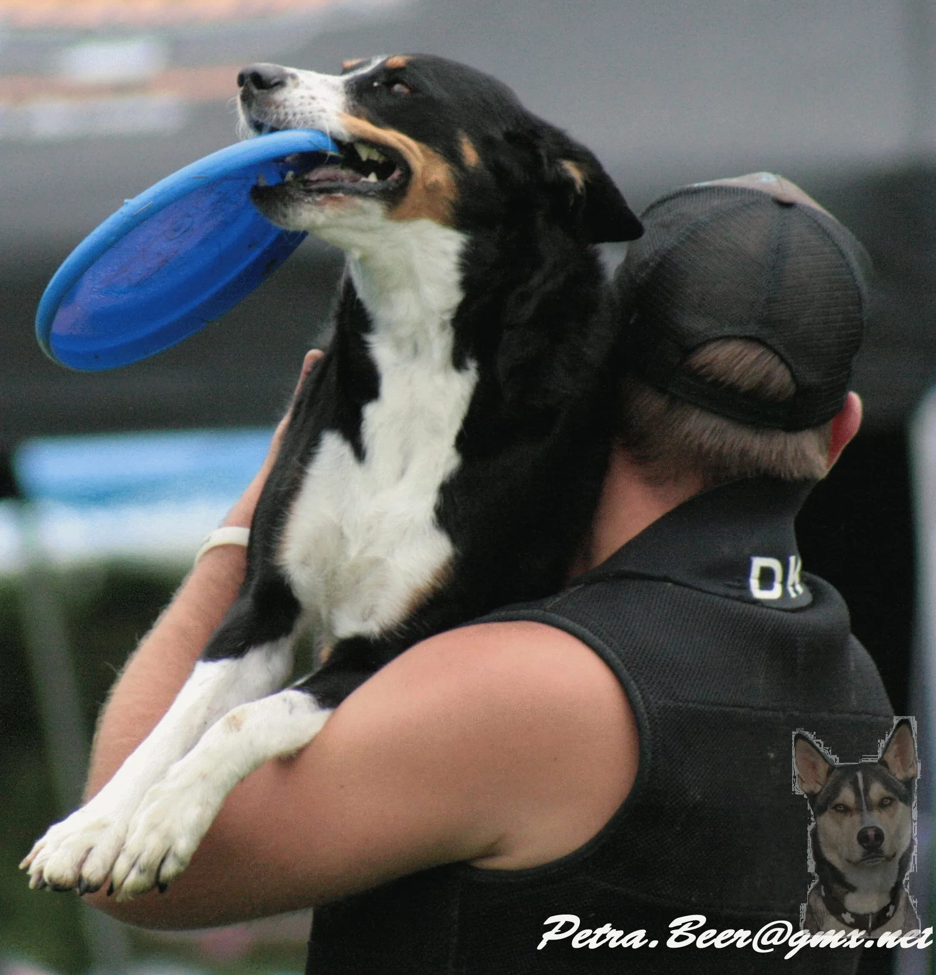 Hyperflite K10 Jawz Dog Frisbee niezniszczalne odporne na ugryzienie czerwone