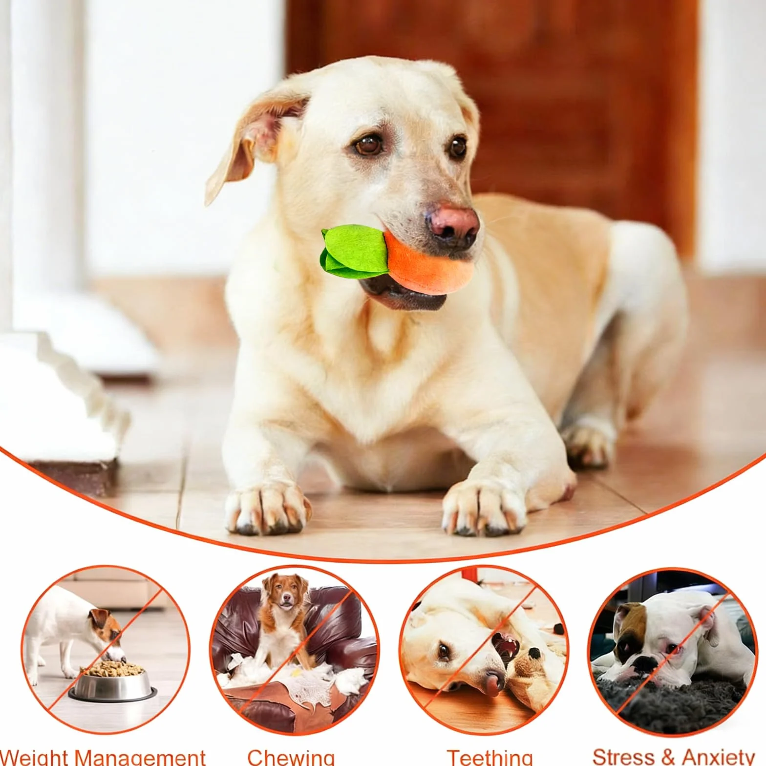 Carrot Dog Play, mata zapachowa dla psa z 9 marchewkami, pluszowa zabawka zapachowa dla psów, do zabawy i stymulacji umysłowej psa, dla małych, średnich i dużych psów