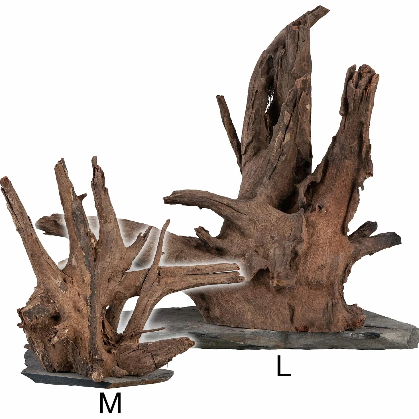 sera Scaper Wood L 30-35 cm - kompaktowe drewno korzeniowe na płycie łupkowej w dwóch rozmiarach