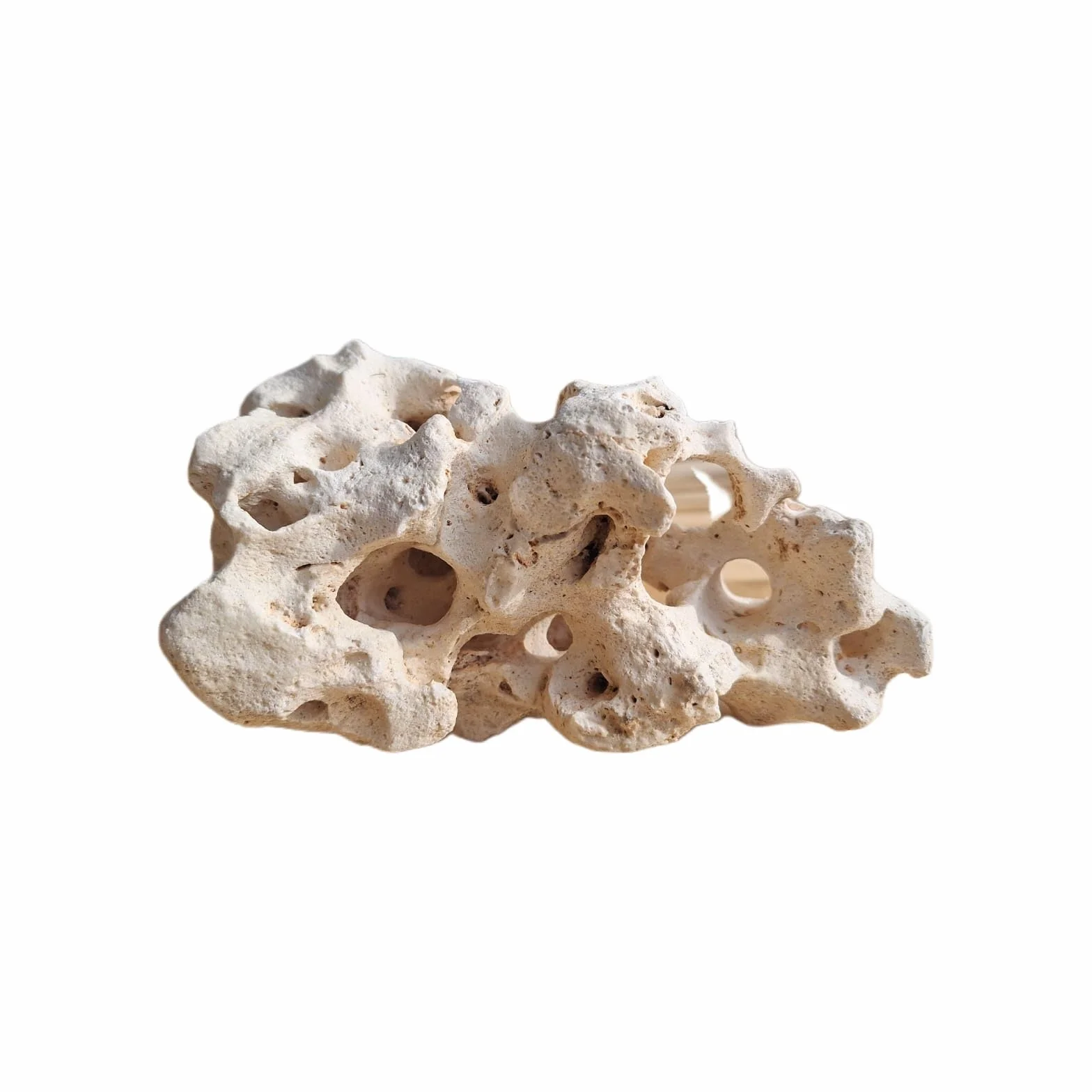 Kamień perforowany do akwarium Malawi duży XL 1,6-2 kg (M)