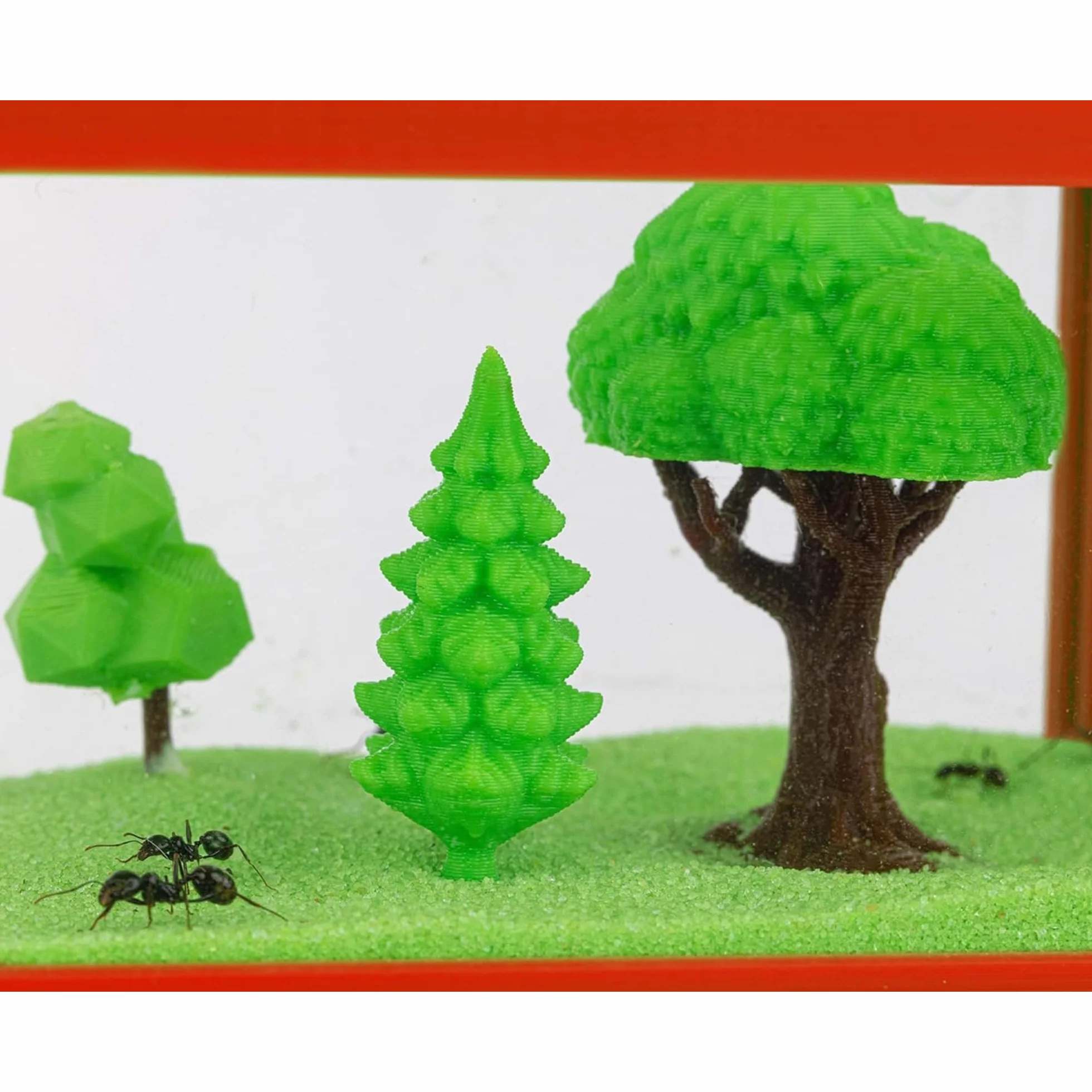 AntHouse farma mrówek z naturalnego piasku, zestaw akrylowy T, 15 x 15 x 1 cm, 5 cm, mrówki w zestawie