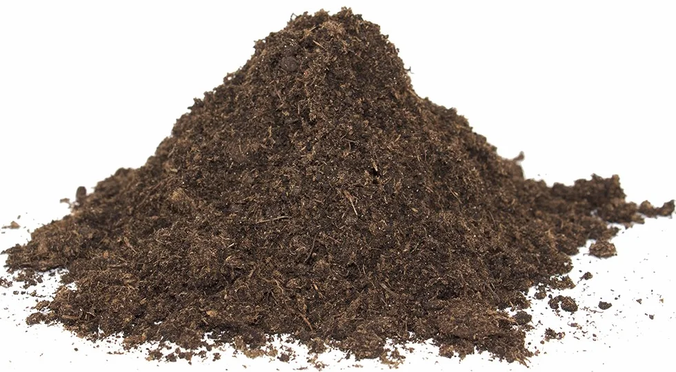 Floragard Ziemia żółwi i podłoże do terrariów 20 l, naturalna ściółka dla gadów