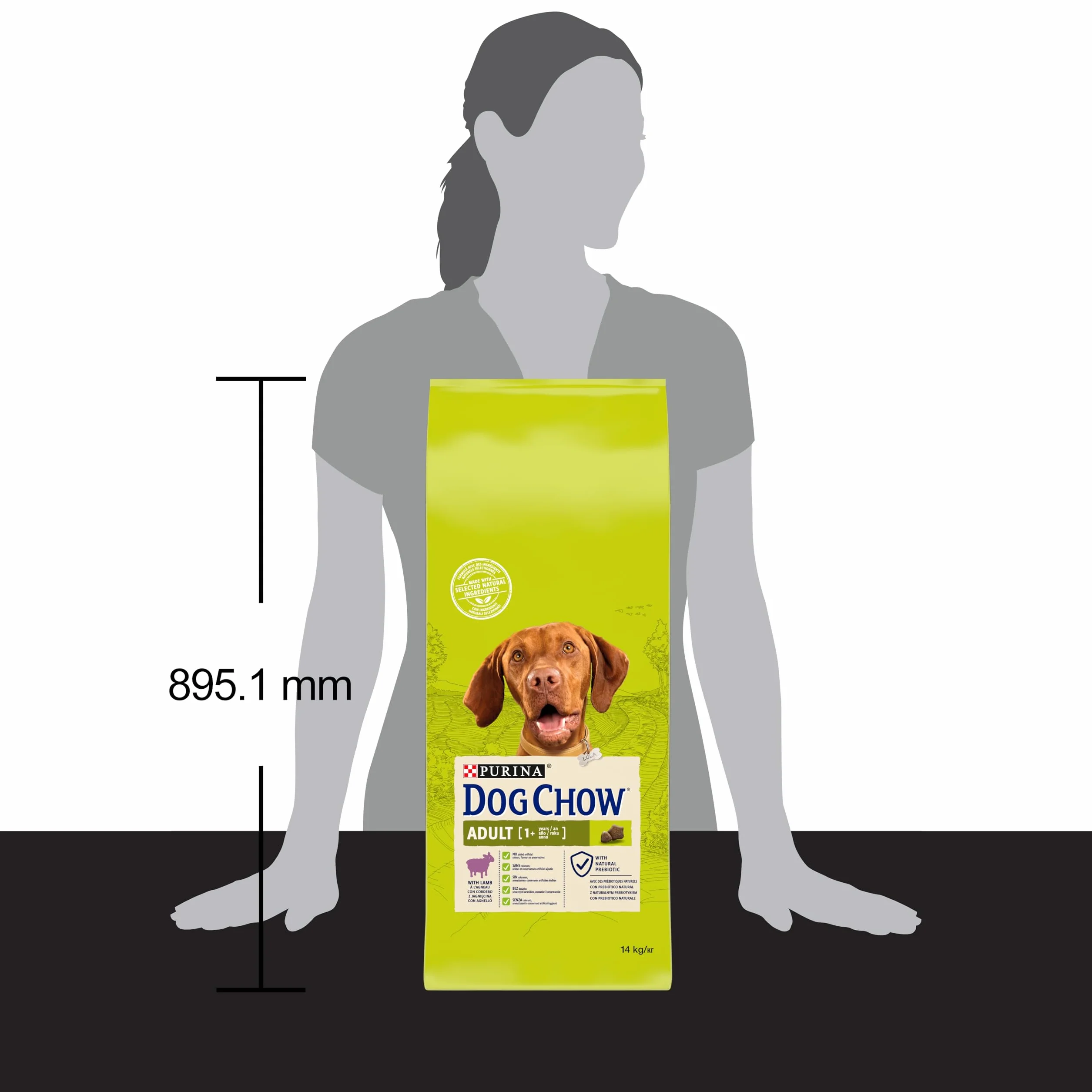 PURINA DOG CHOW | Dorosły | Karma dla dużych psów | Jagnięcina | Zestaw 1 szt. | 14 kg | Torba