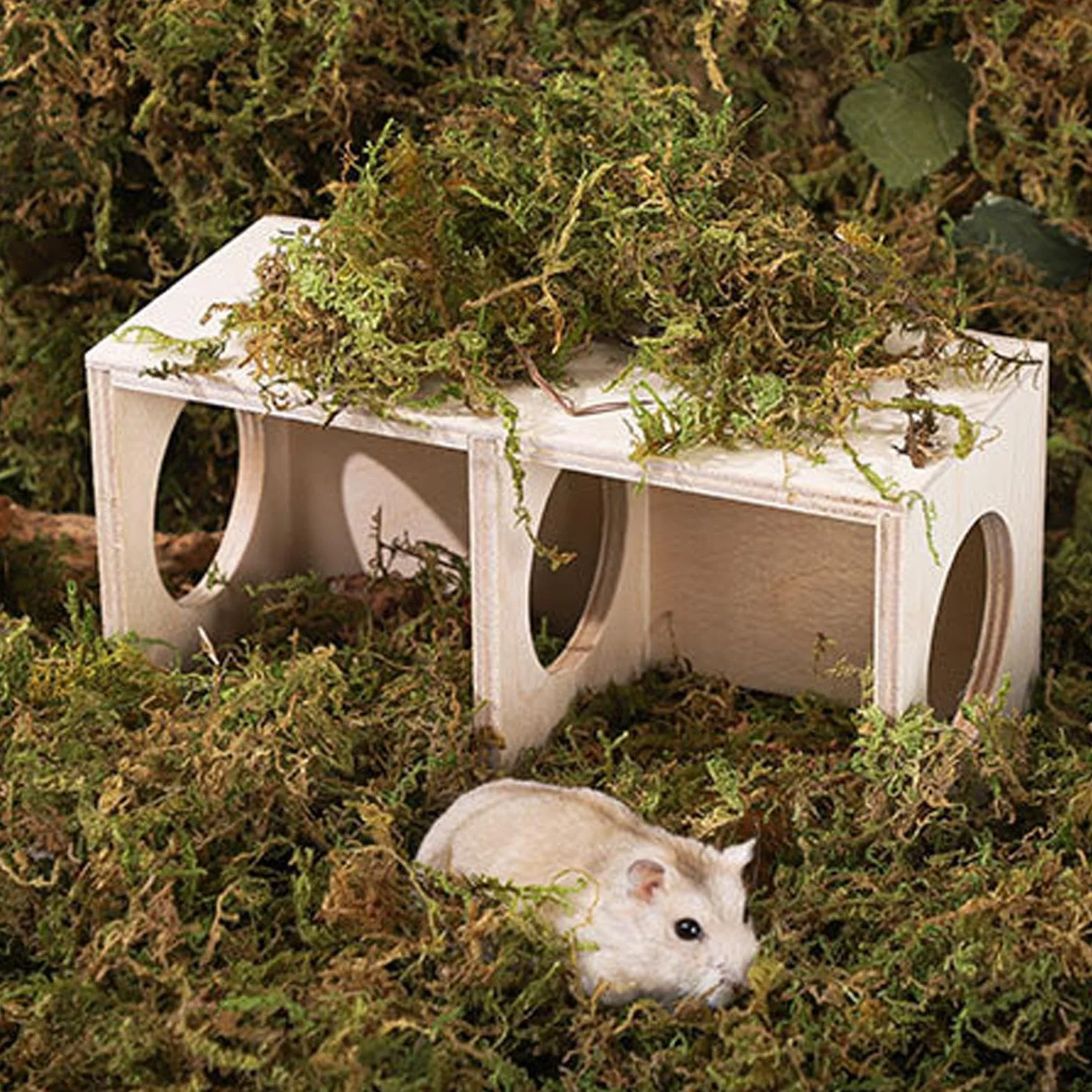 Wooden Hamster Hide Habitat, 2-Chamber Multi-Room Small Animal House, Natural Maze and Landscape for Hamsters Mice Gerbils, Stylish Pet Shelter and Living Room Decor, 20x10x9cm, 25x11x11cm