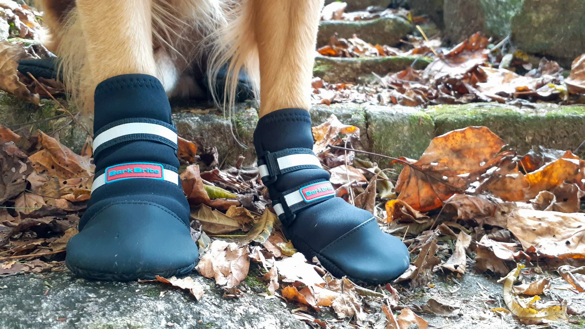 Bark Brite Neoprenowe buty dla psów na każdą pogodę, ochraniacze łap, z odblaskowymi paskami, rozmiar XXL (11 x 11 cm)
