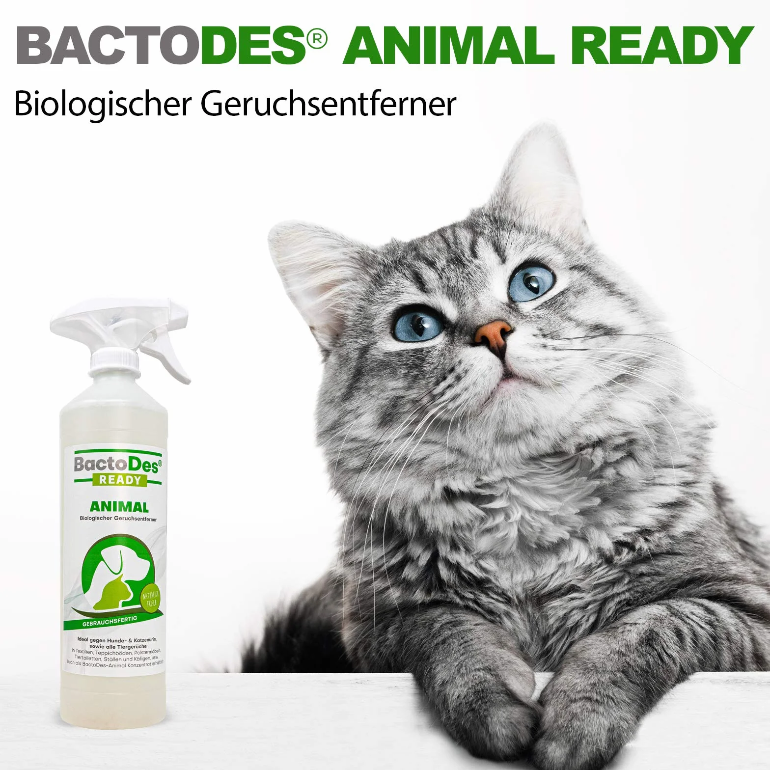 BactoDes Animal Ready enzymatyczny środek do usuwania zapachów i plam w sprayu 1 l