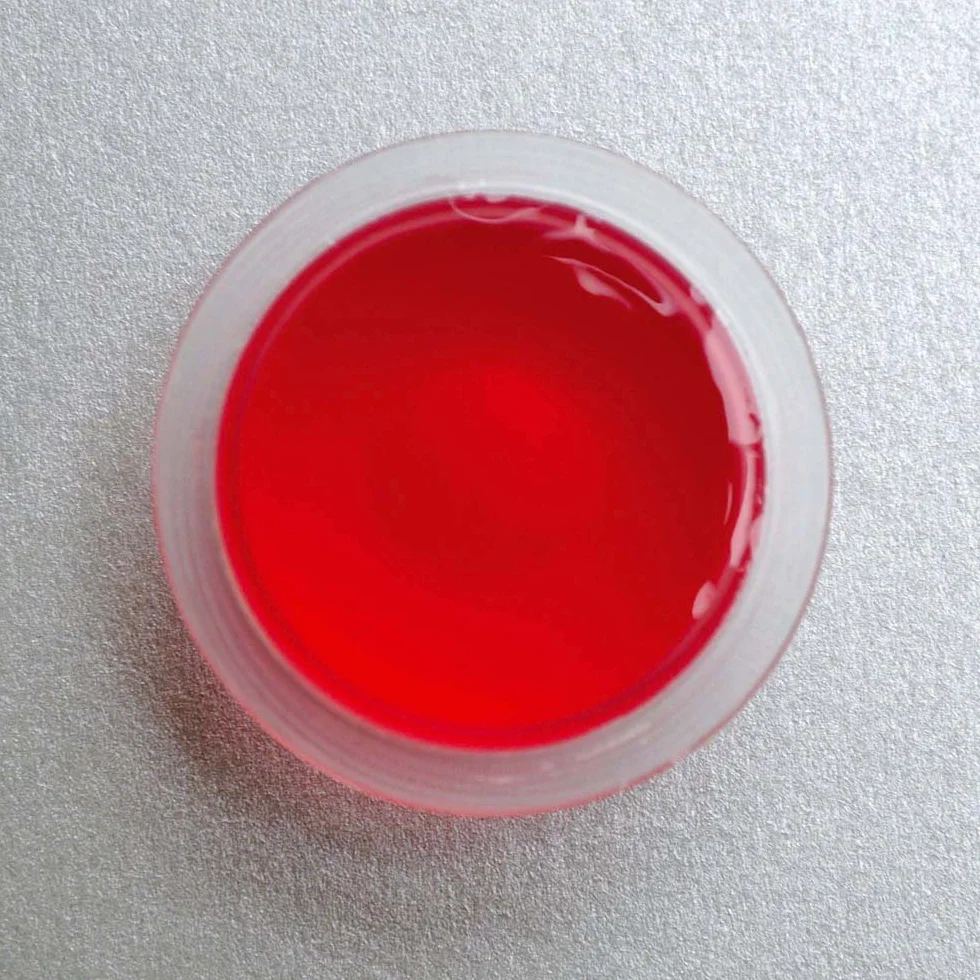 Dragon Terraristik Jelly-Food Mixed Pack 20 sztuk po 16 g, 1 opakowanie (1 x 320 g)