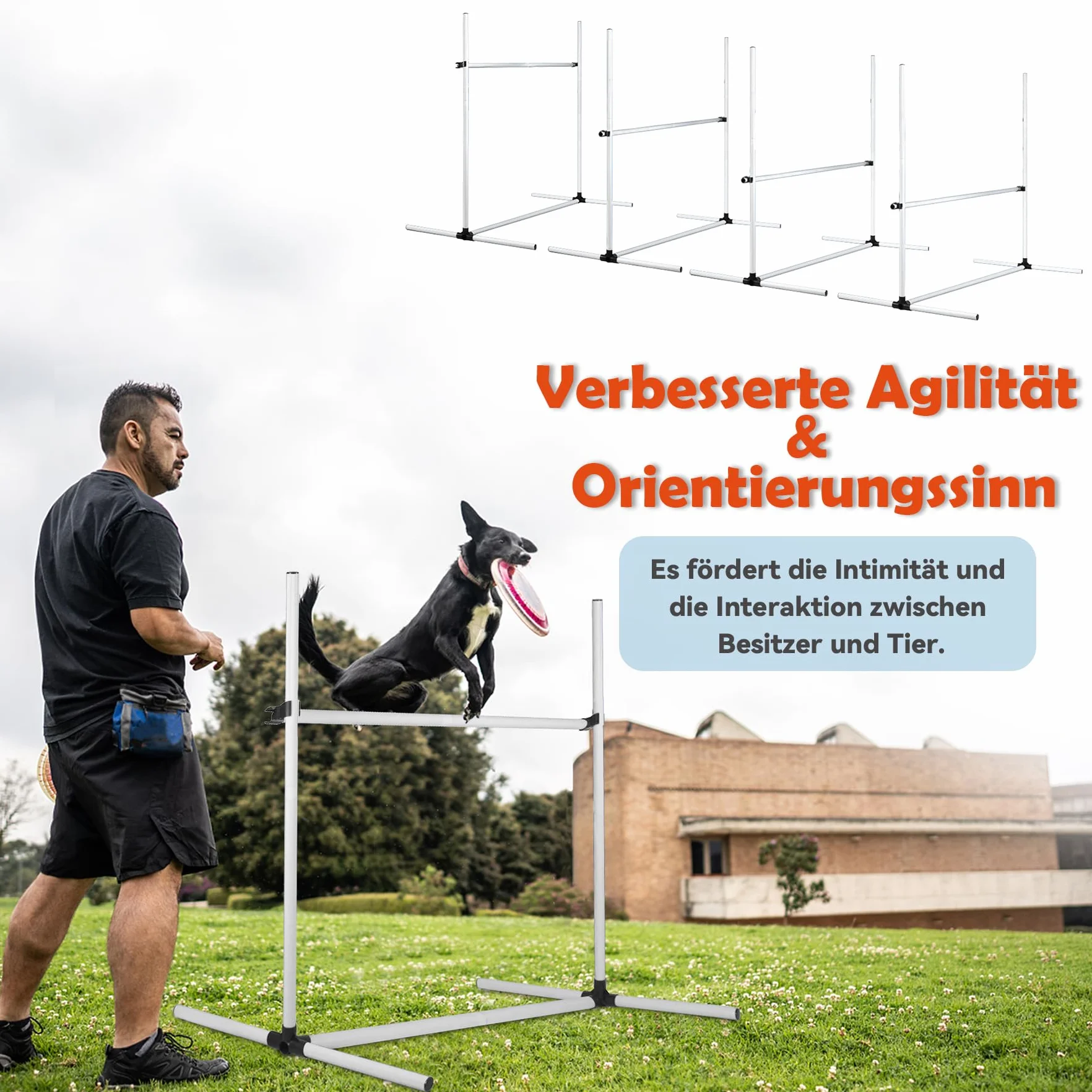 Agility zestaw płotek dla psów, pręty slalom, wyposażenie do treningu psów z 4 płotkami z regulacją wysokości, 104 x 70 x 101 cm, biały