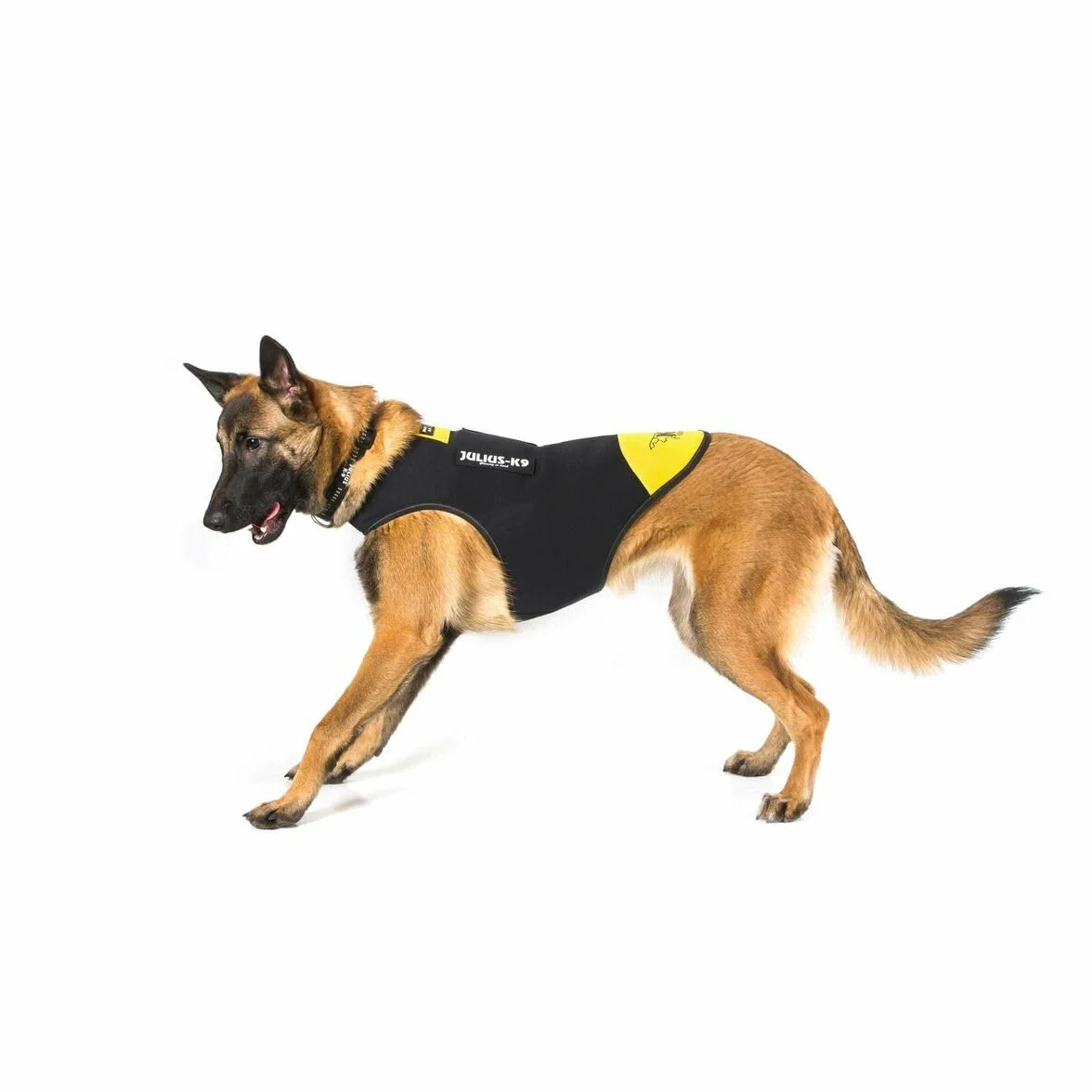 Julius-K9 IDC neoprenowa kurtka dla psa, rozmiar: XL, czarna i żółta