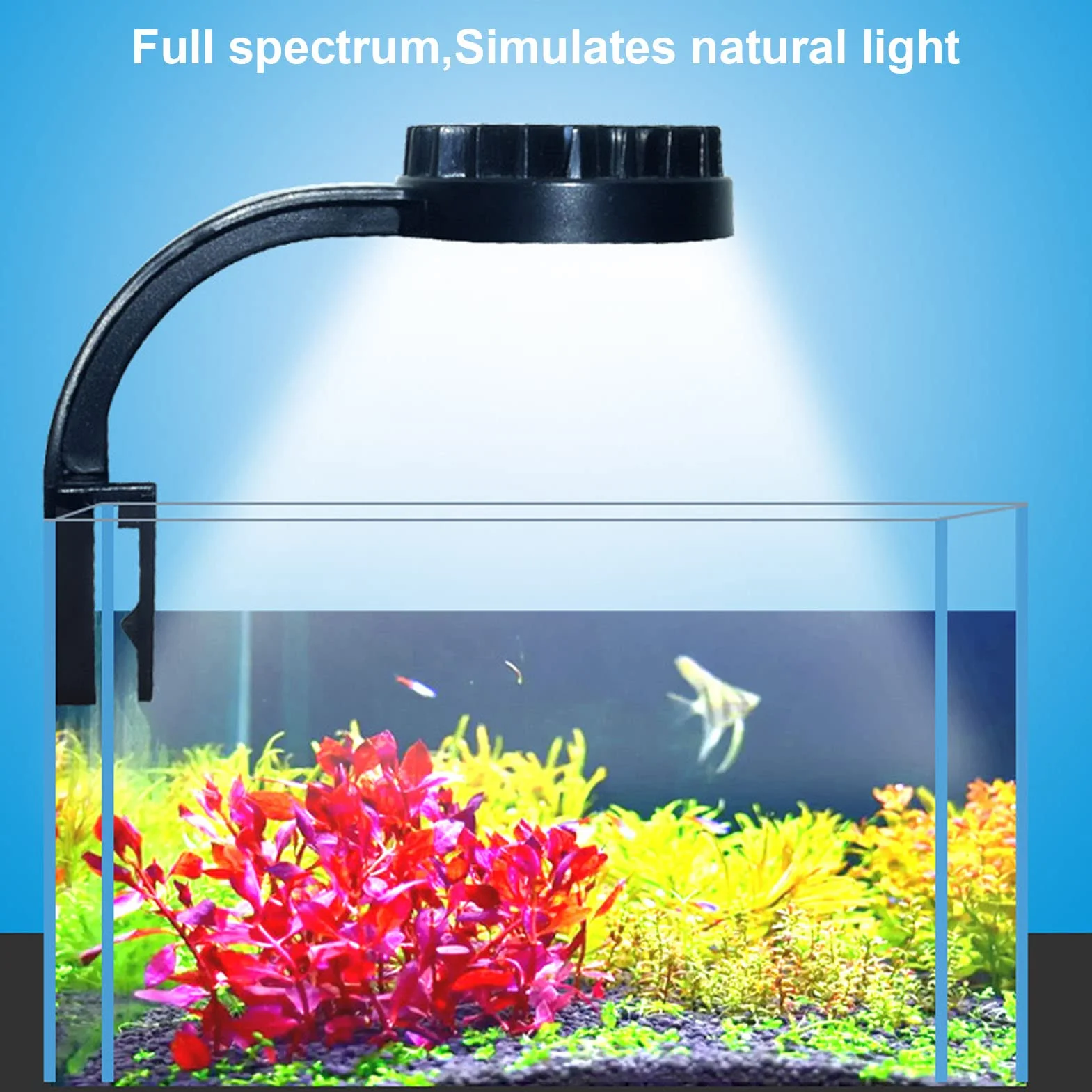 Lampka LED do Akwarium o Mocy 5 W, Wysoka Jasność, Lampa Klipsowa o Pełnym Działaniu, z Oddzielnym Wyłącznikiem Zasilania, Wielofunkcyjna do Akwariów o Pojemności
