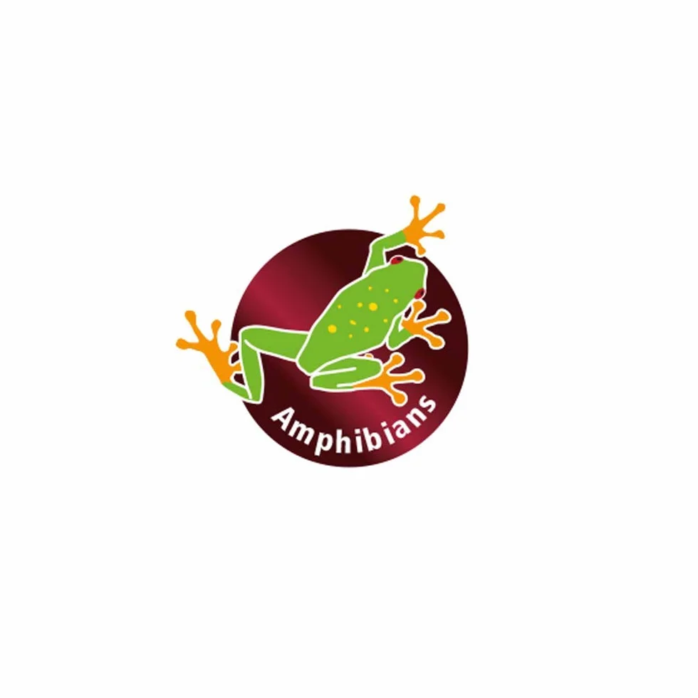 Dohse Aquaristik Spaghnum Moss Podłoże do Terrariów, Zielony, 4,5 l