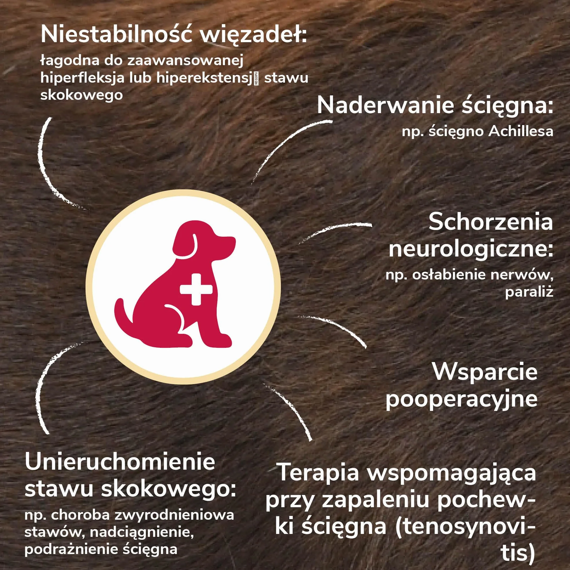 Bandaż na Staw Skokowy z Pianki Rozmiar XS dla Psów & Kotów – Oddychający ze Szynami do Wsparcia Stawu Skokowego przy Artrozie & Niestabilności