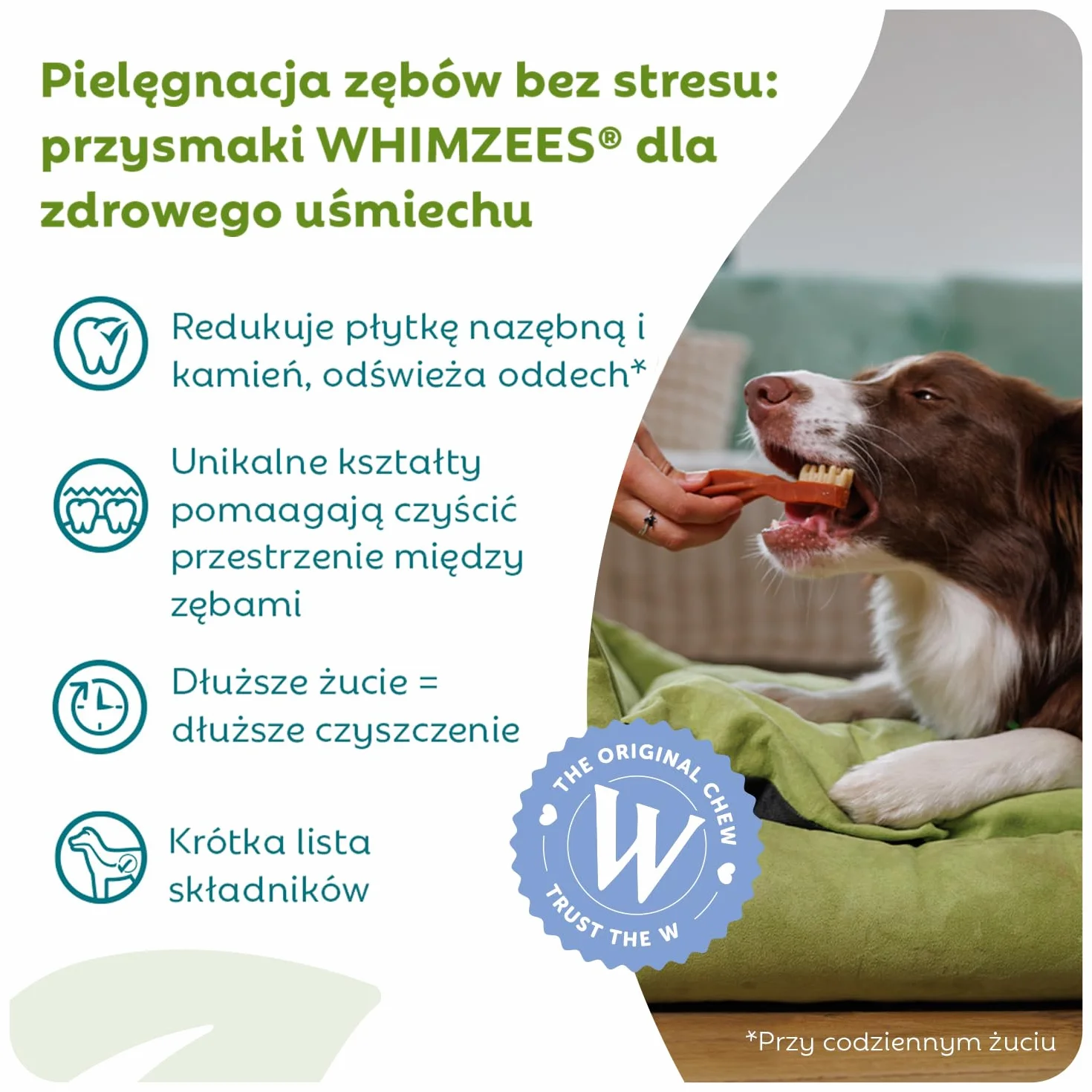 WHIMZEES Szczoteczka L, 6 Sztuk – Rozmiar L, Gryzaki Dentystyczne dla Dużych Psów, Naturalne, Bezzbożowe, Bez Dodatku Cukru