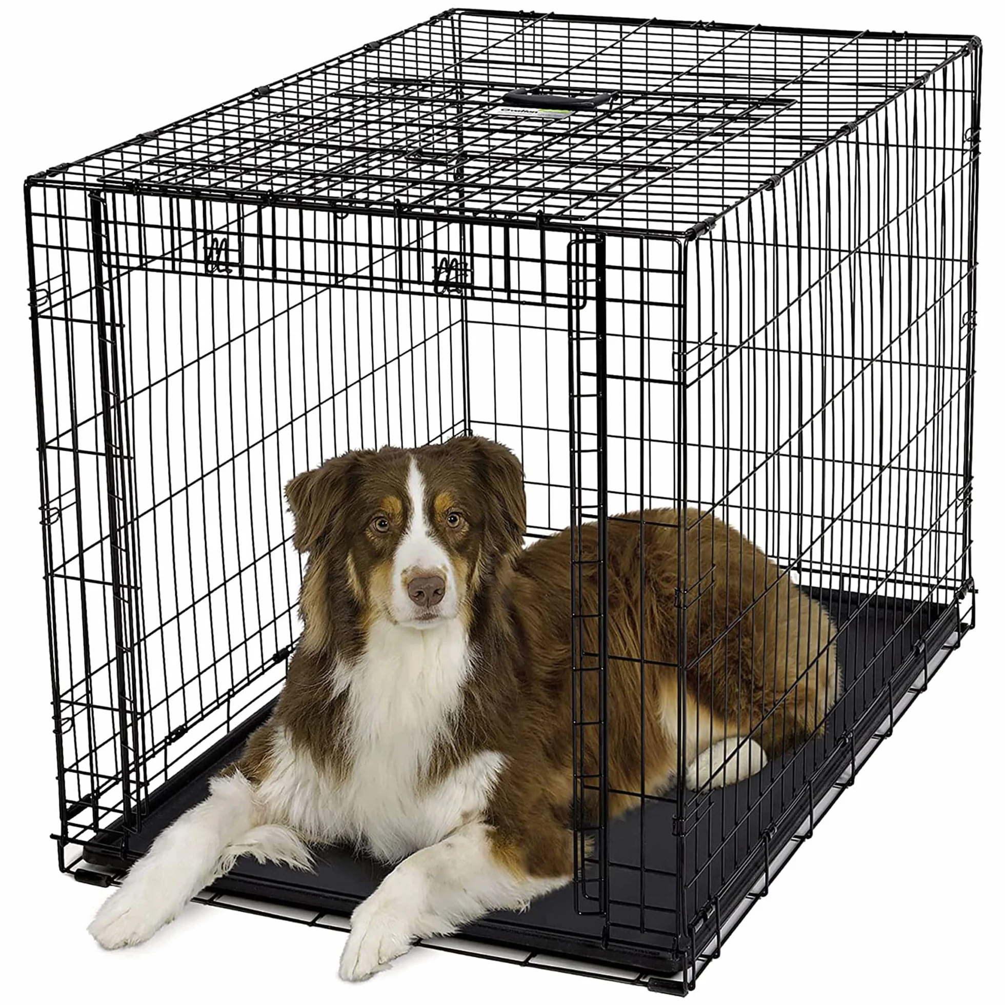 MidWest Homes for Pets Large Ovation Single Door Folding Dog Crate, 42-Inches, Space-Saving Patented Up & Away Door, Leak-Proof Pan, Divider Panel, Black