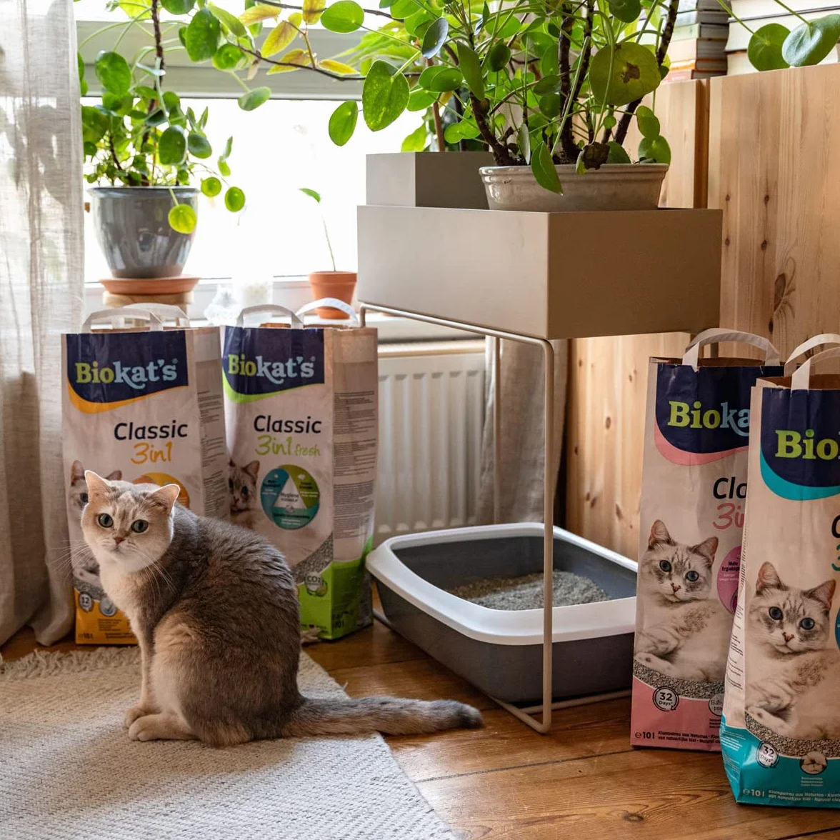 Biokatʼs Classic 3in1 bezzapachowy - Zbrylający żwirek dla kota o 3 różnych rozmiarach ziarna - 1 worek (1 × 10 l)