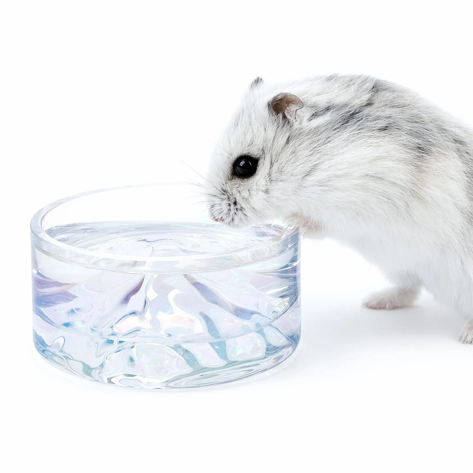 Niteangel Hamster Feeding & Water Bowls- Mount Fuji Series Glass Drinking Bowls for Dwarf Syrian Hamsters Gerbils Mice Rats or Other Similar-Sized Small Pets