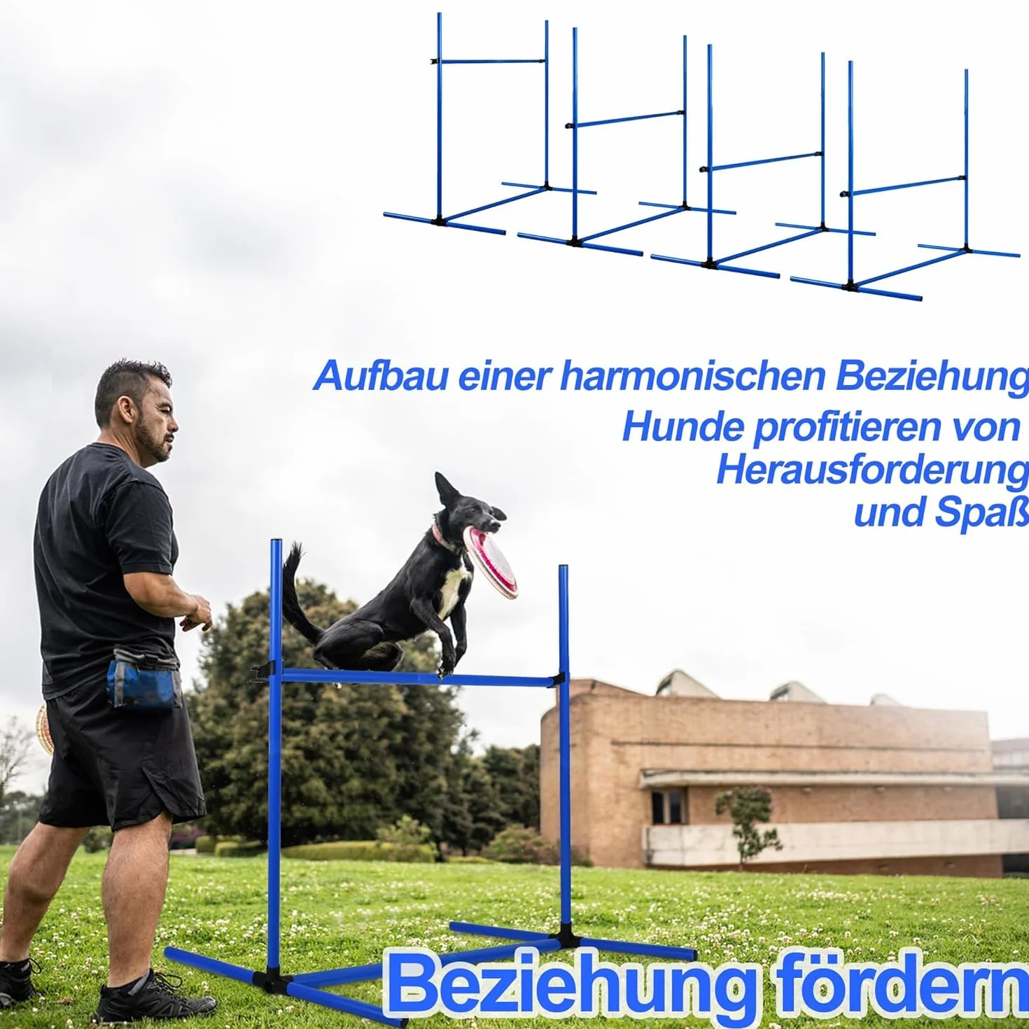 Agility zestaw płotek dla psów, pręty slalomowe, wyposażenie do treningu psów z 4 płotkami z regulacją wysokości, 104 x 70 x 101 cm, niebieski