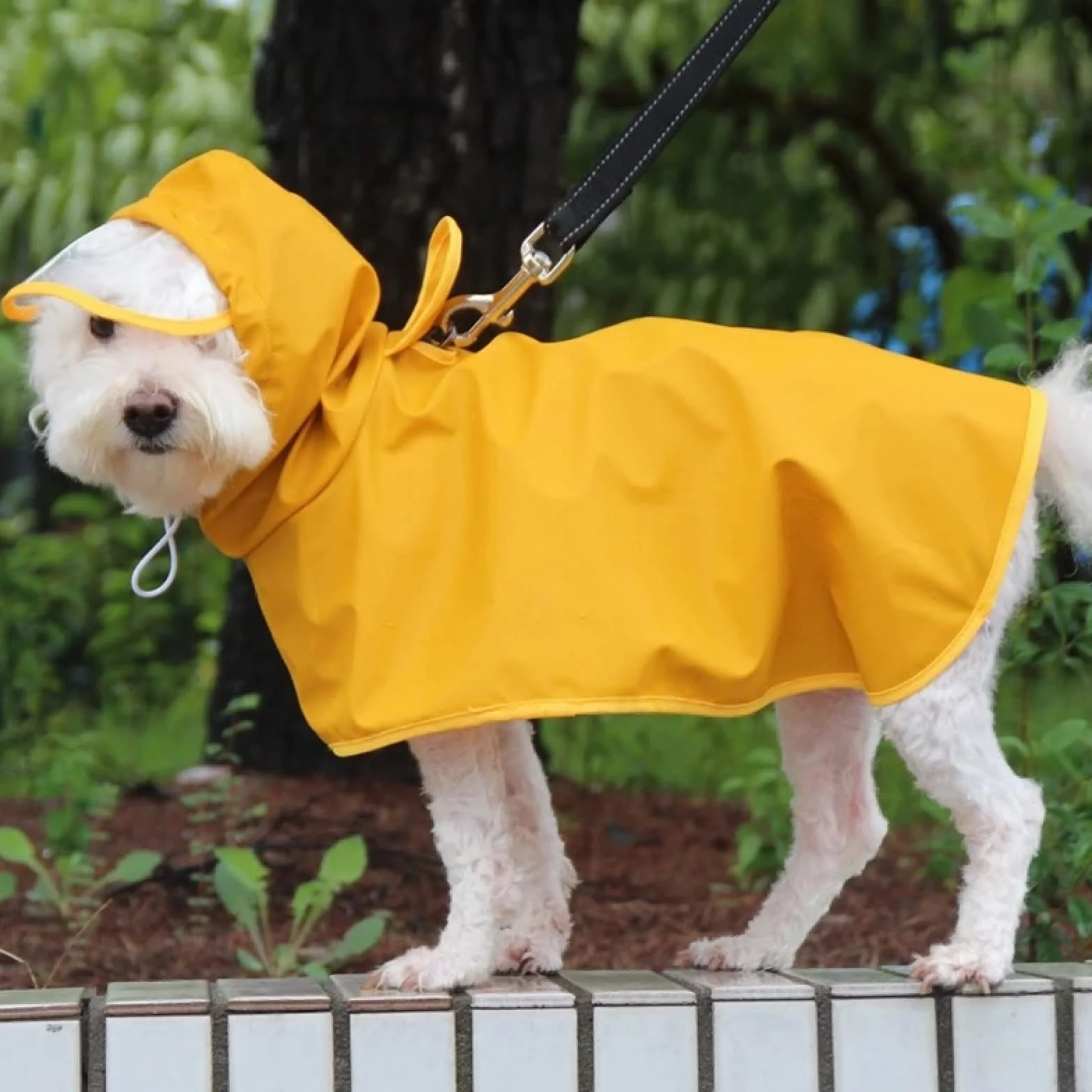 Mały Średni I Duży Pies Płaszcz Wodoodporny Płaszcz Przeciwdeszczowy Dla Zwierząt Outdoor Dog Płaszcz Przeciwdeszczowy Corgi Husky Sznaucer Mops Labrador Płaszcz Przeciwdeszczowy,Żółty,3XL 10-12,