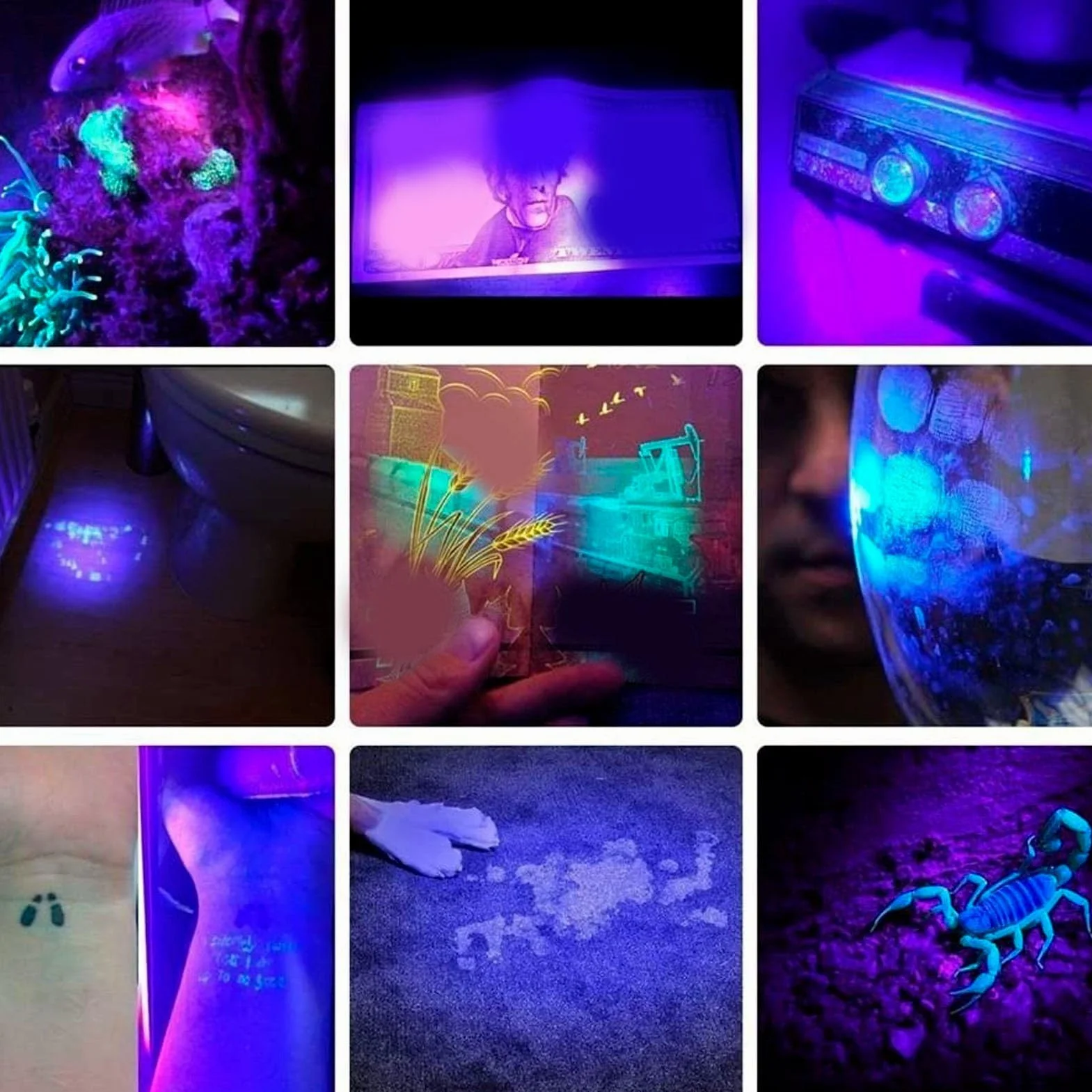 Latarka UV, 20W 365nm LED Latarka Ultrafioletowa USB Akumulator Przenośny Detektor światła Ultrafioletowego, Wykrywacz Moczu Zwierząt Domowych Światło dla Psa Kot Suche Plamy