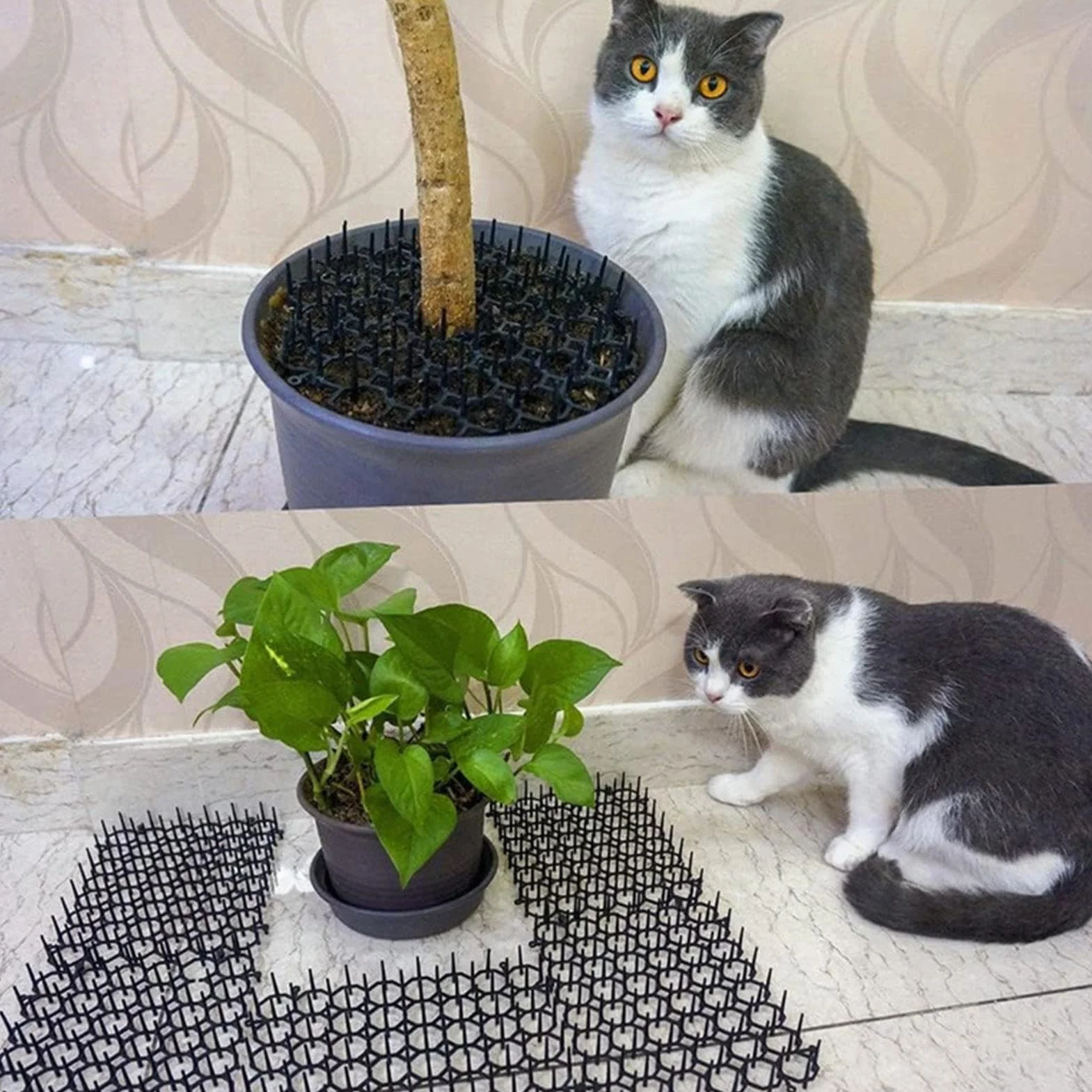Mata z kolcami dla kota | 12 szt. Mata z kolcami dla zwierz?t - Kitten Anti-Jump Pad Przyci?ta mata ogrodowa z kolcami mo?e by? ? ?czona podwórku Imtrub