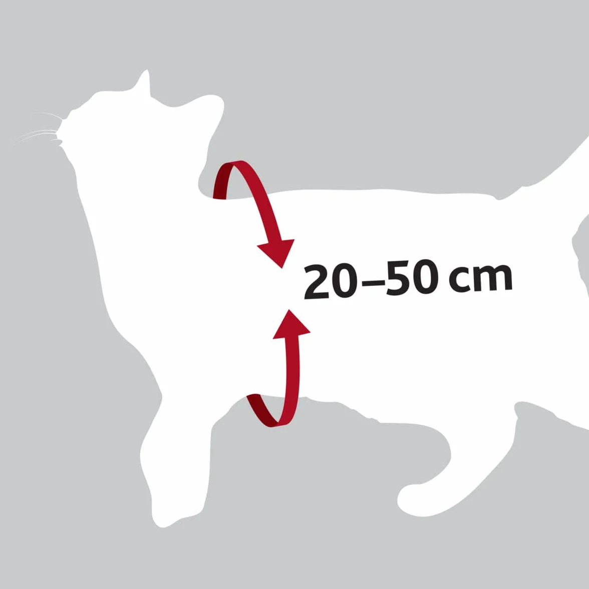 Pas i pas bezpieczeństwa koty, 20 – 50 cm, czerwony