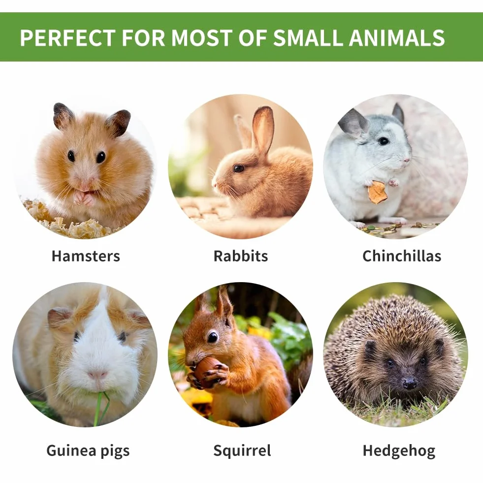 JabłKo żUć PałEczki,Bunny Kij Do żUcia,12 Szt. Kije JabłKowe，6 Szt. słodki bambus, MałE Zabawki Do żUcia,Zabawka Do żUcia KróLika Ze 100% Naturalną PałEczką JabłKową,KróLikiem,Chomikiem,Papugą