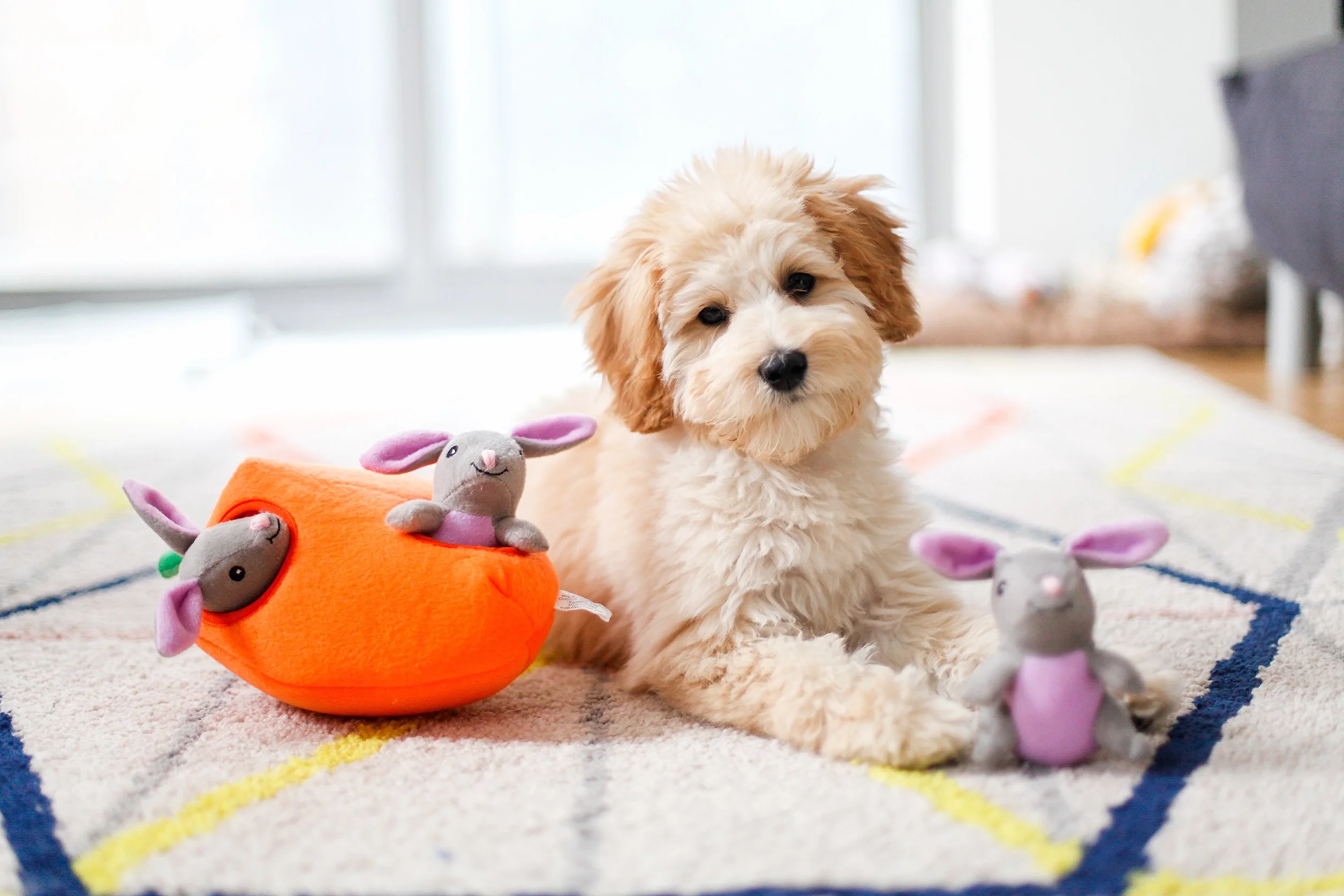 ZippyPaws Burrow Quietschendes Hundespielzeug aus Plüsch, Bunny 'n Carrot