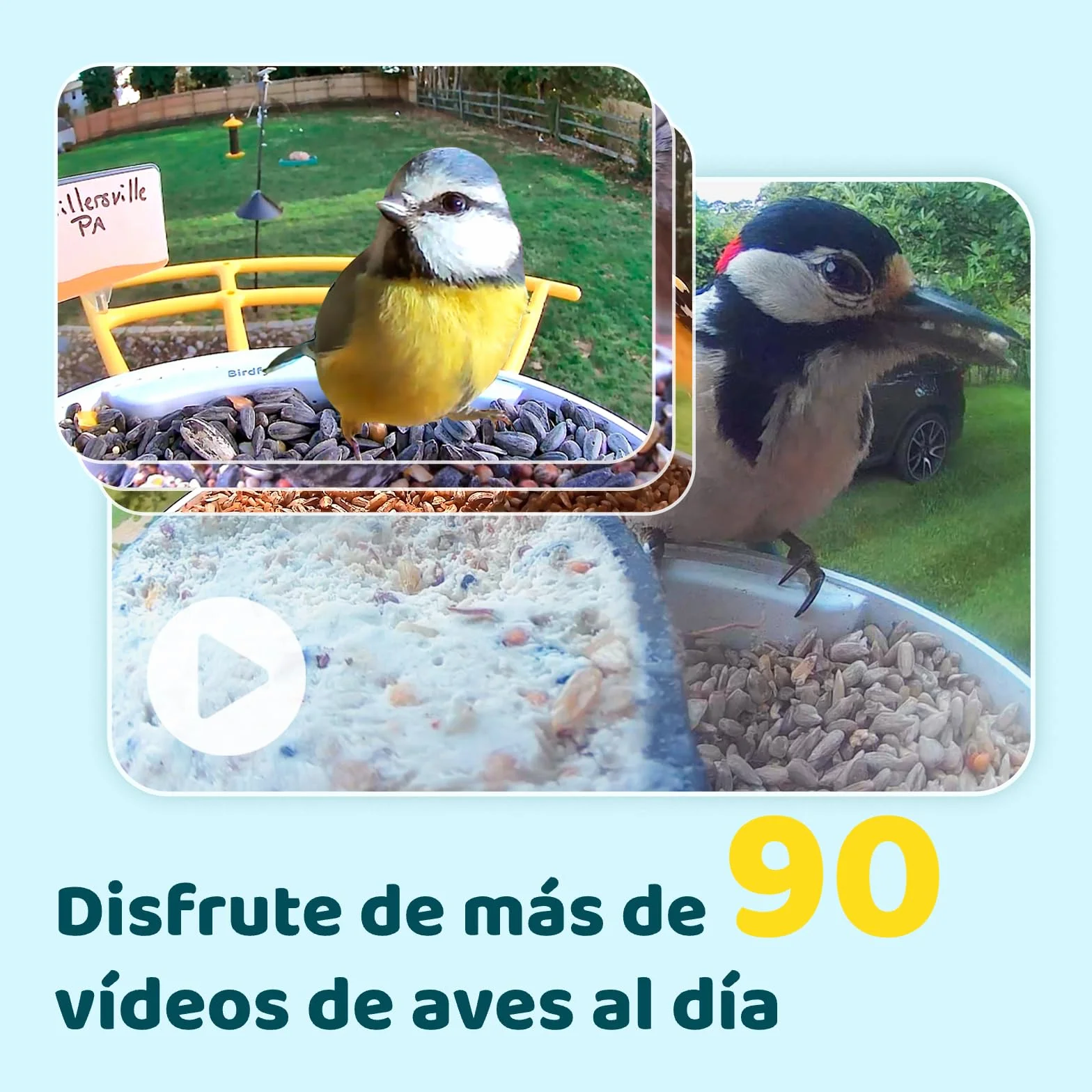 NETVUE Birdfy Pro Lite Vogelhaus z kamerą, stacja Vogelfutterstation z kamerą i DIY wielofunkcyjny stojak, stacja futterstationen for Wildvögel, Vogelfutterspender mit Meisenknödelhalter, Wasser/Gelee