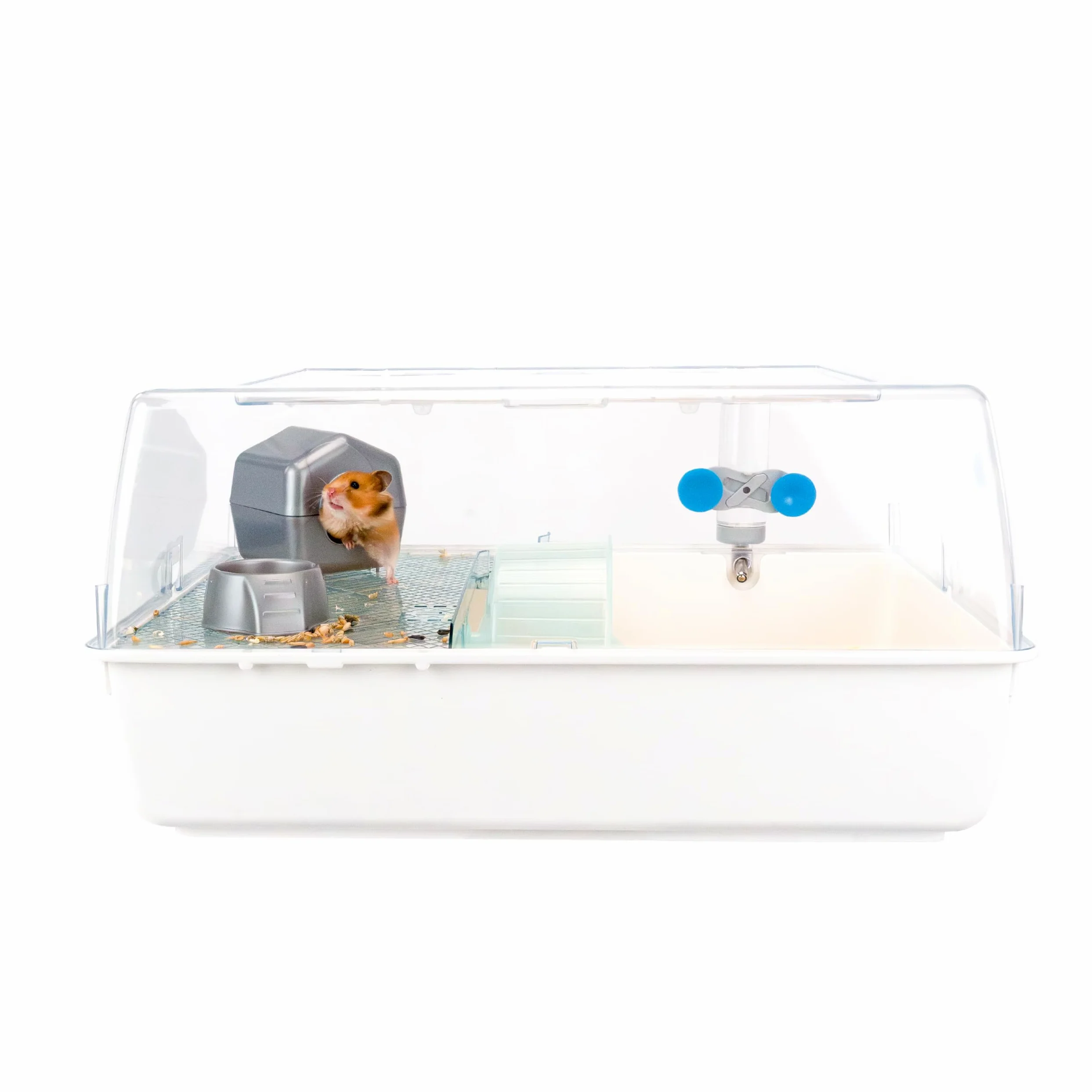 Ferplast Klatka dla chomika MINI DUNA HAMSTER 55 x 39 x 27 cm przezroczysty dach