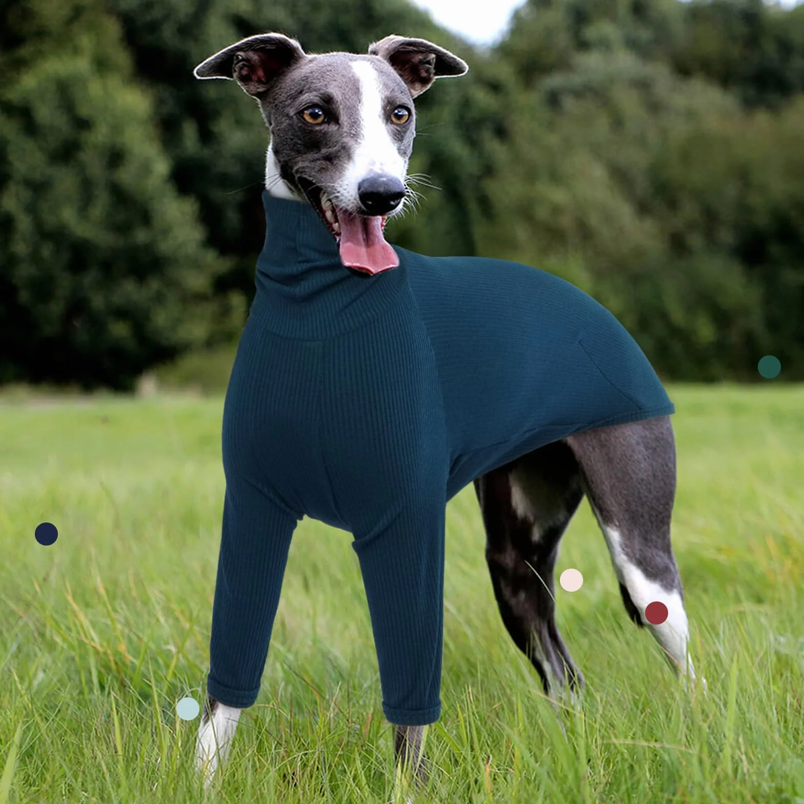 IECOii Whippet Sweter, golf chartów sweter dla małych psów, włoski charta bluza pulower dla psa kombinezon dla Lurcher, lekka i przytulna piżama charta rozciągliwy sweter dla psa, rozmiar S