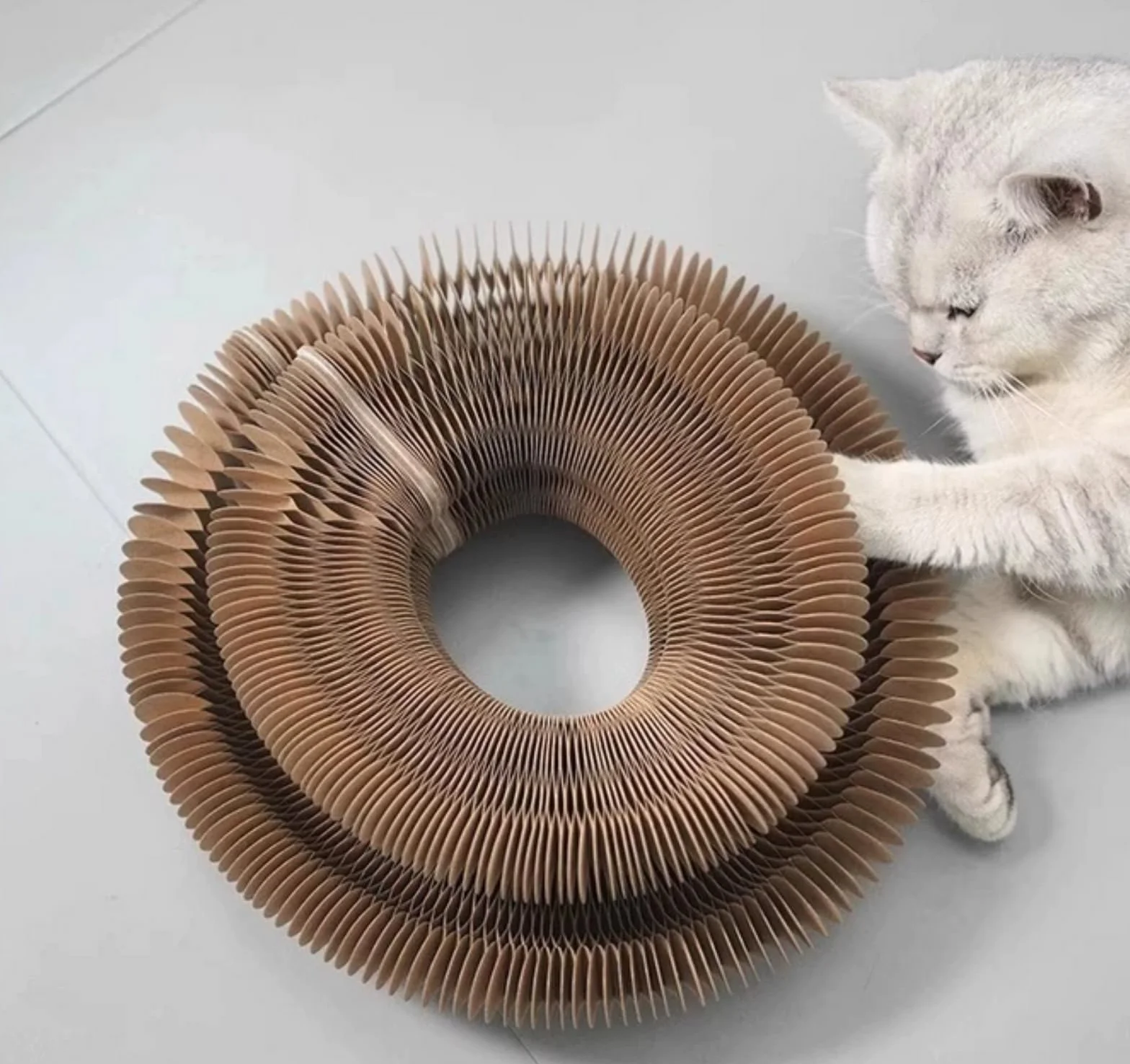 Kitty Kurlz Foldable Cat Accordion Toy Scratching Board with Bell Balls and Track Adventure