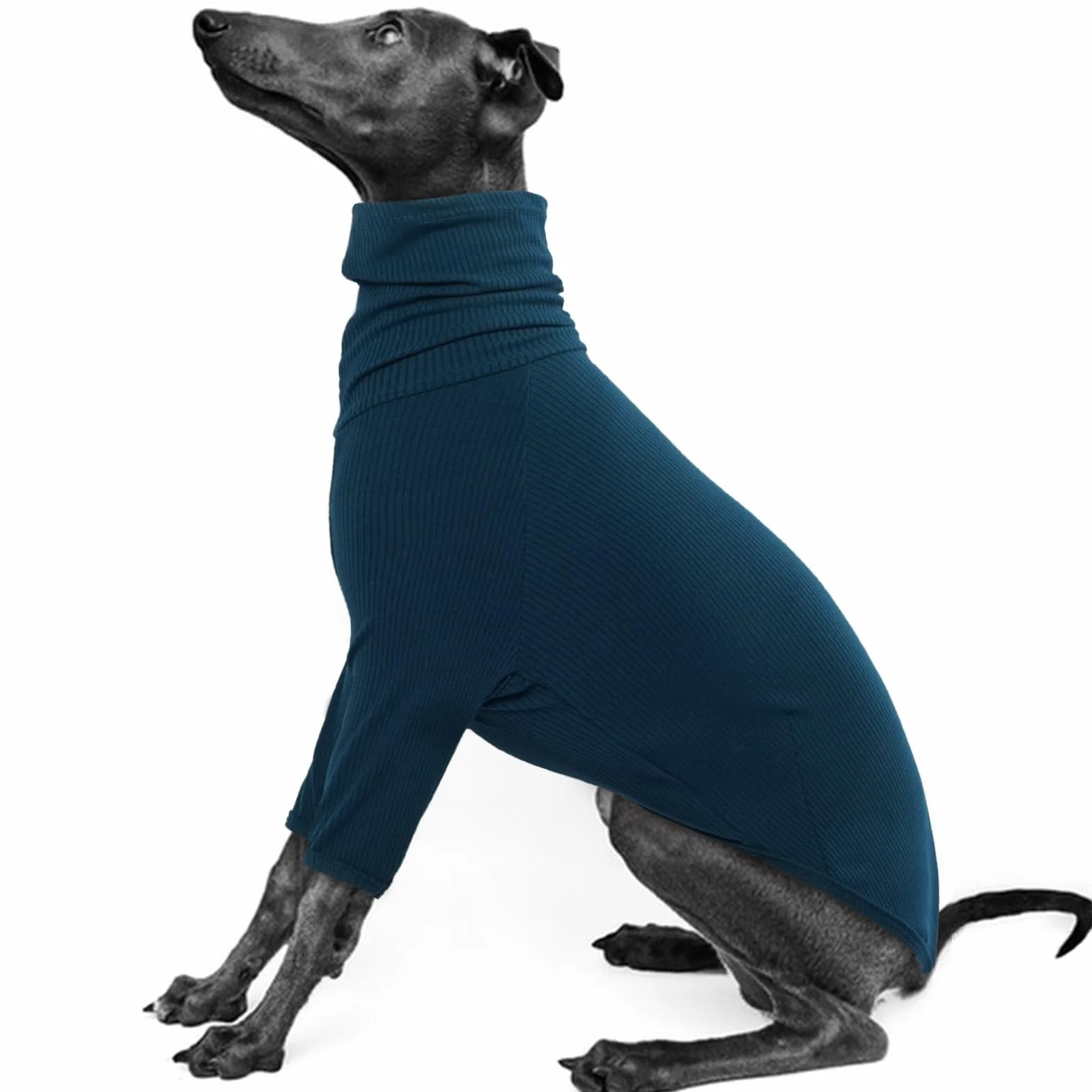 IECOii Whippet Sweter, golf chartów sweter dla małych psów, włoski charta bluza pulower dla psa kombinezon dla Lurcher, lekka i przytulna piżama charta rozciągliwy sweter dla psa, rozmiar S