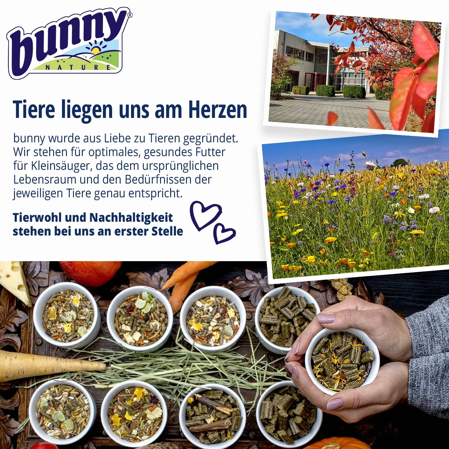 Bunny HamsterTraum Expert 600 g