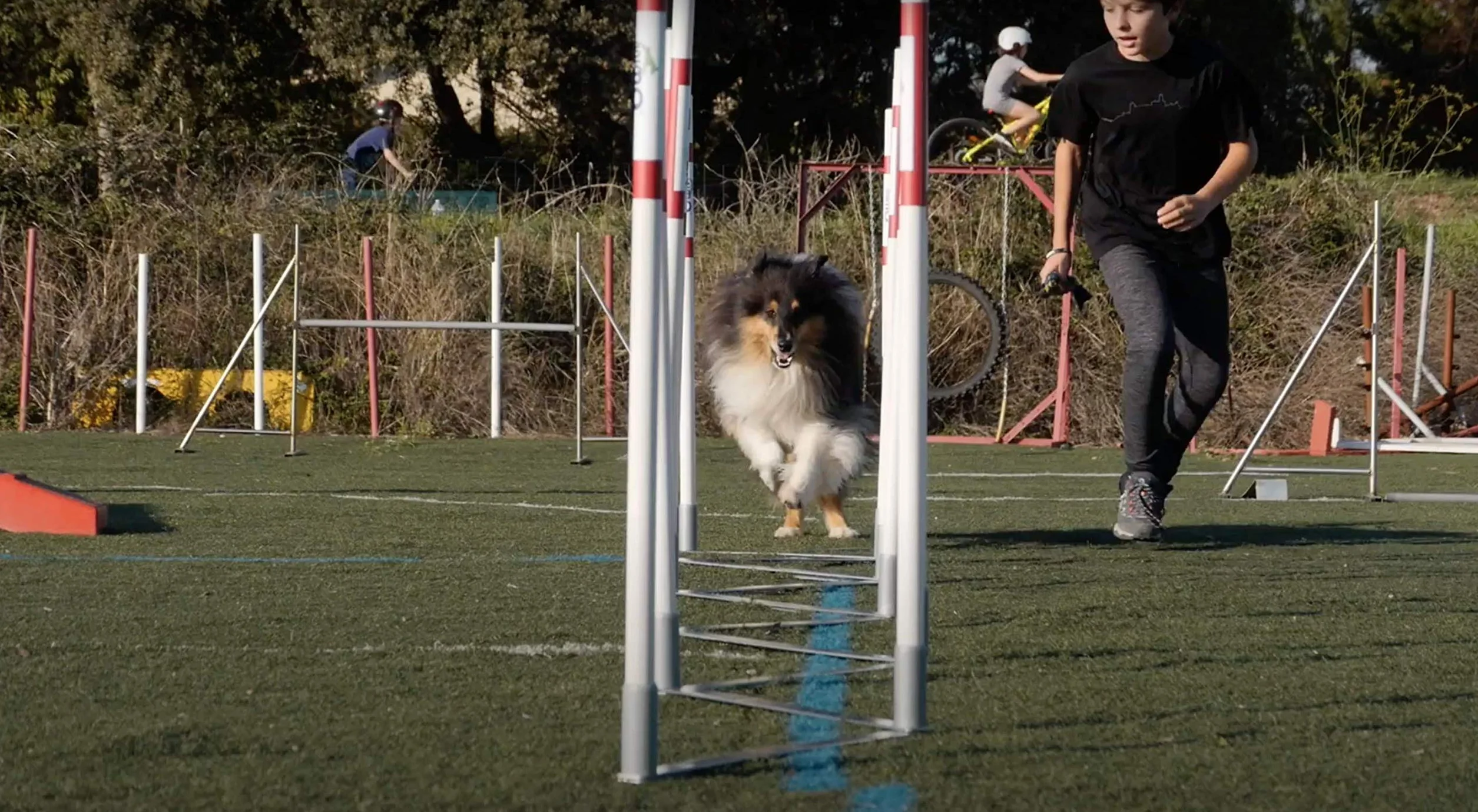 Animo Concept Slalom Akcesoria Treningowe, Biały/Czerwony, 150 cm