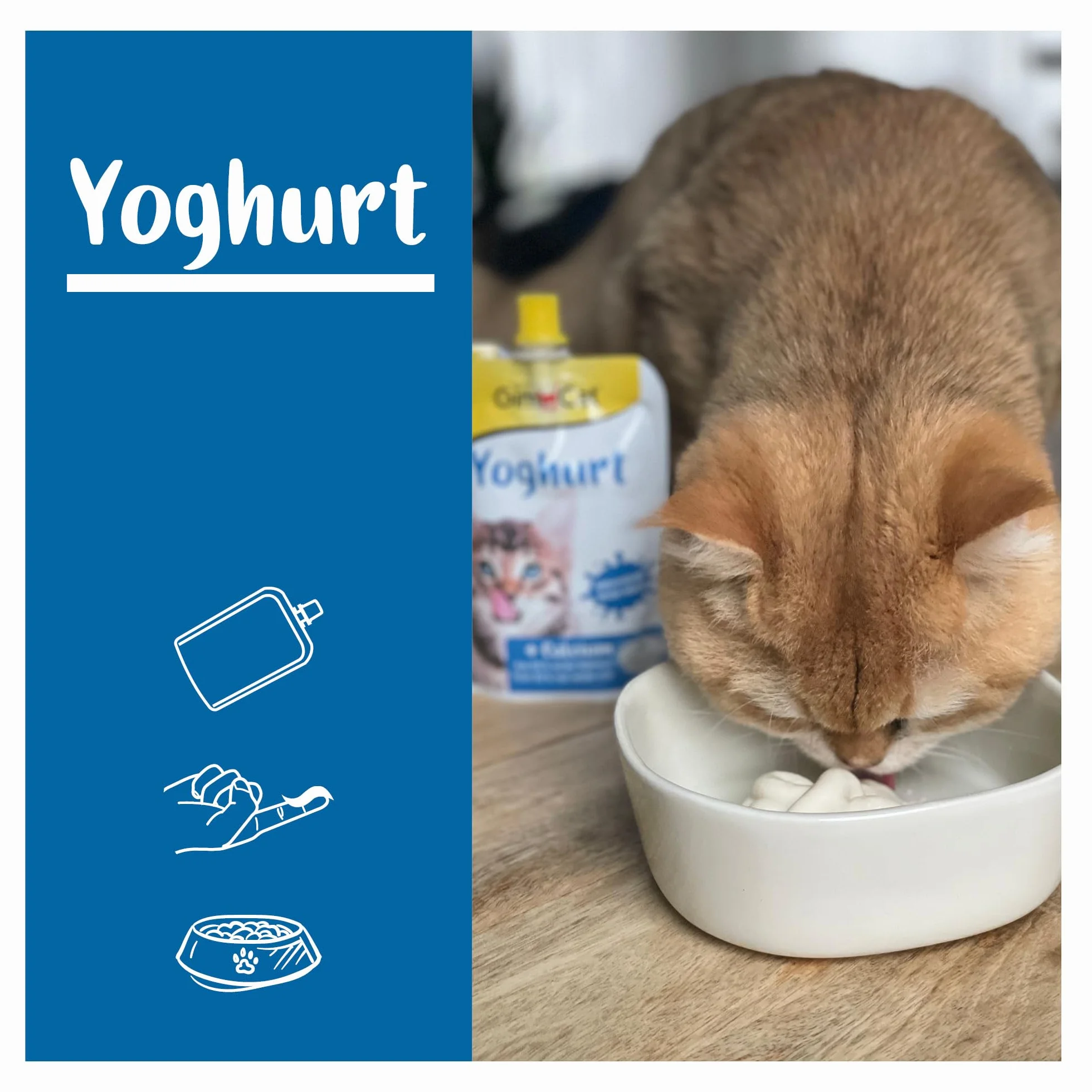 GimCat Yoghurt - Przysmak dla kotów o obniżonej zawartości laktozy, przygotowany z pełnego mleka z dodatkiem wapnia z myślą o zdrowiu kości - 1 worek (1 × 150 g)