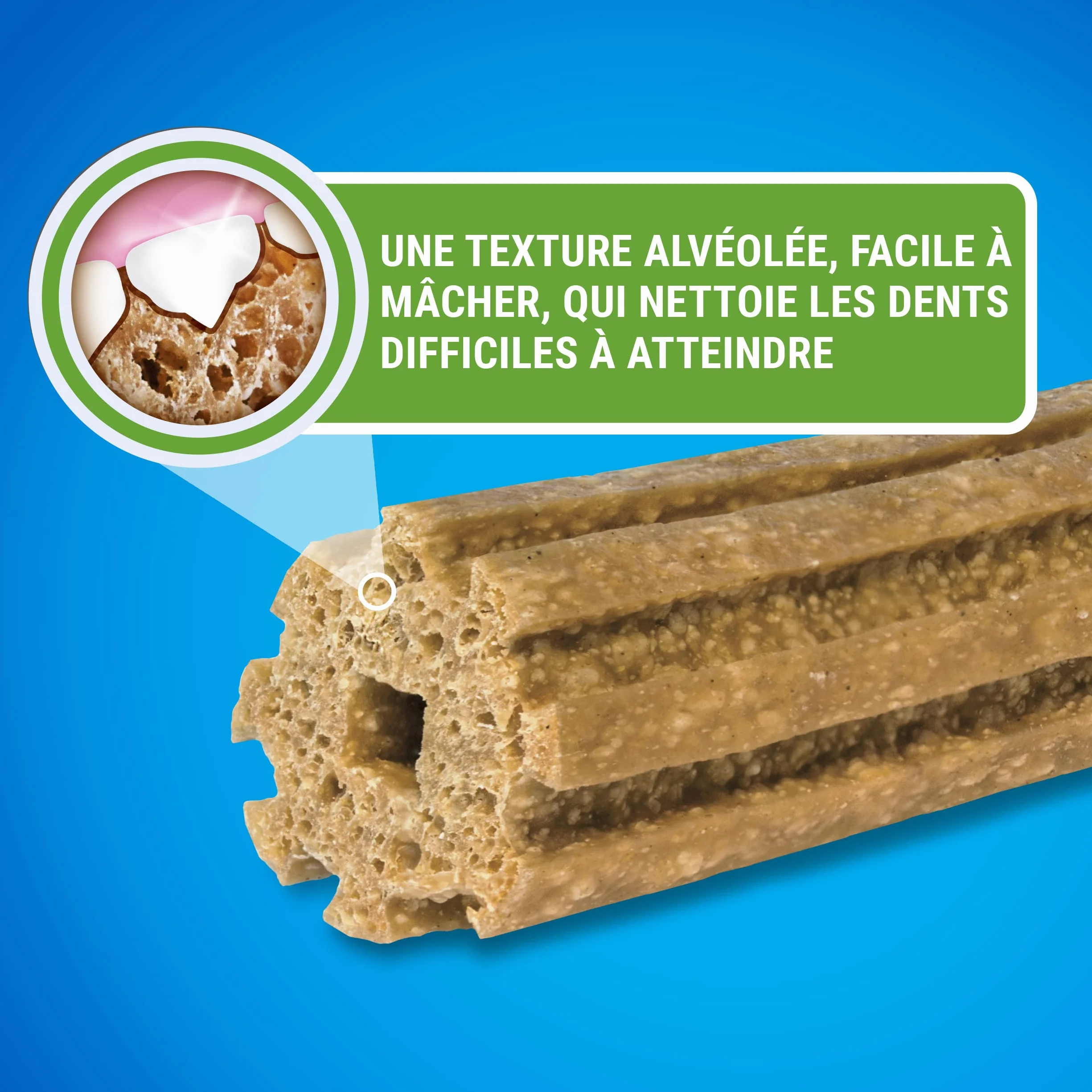 PURINA DENTALIFE EXTRA MINI | Przysmaki dla bardzo małych psów |21 patyczków do żucia | Kurczak | Pakiet Maxi 207 g | Higiena jamy ustnej