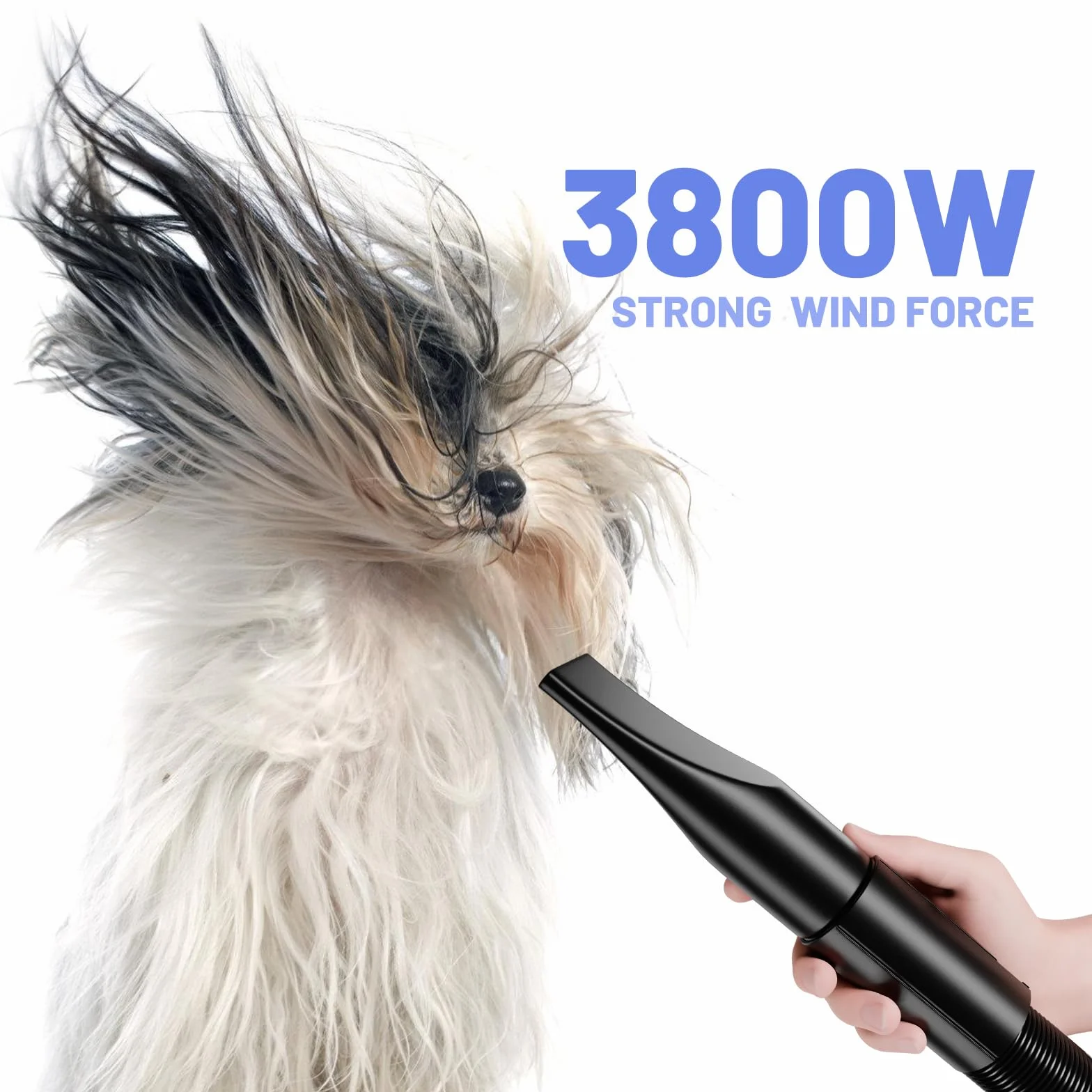 Suszarka do włosów dla psów, bardzo cicha, 5,2 KM / 3800 W, regulowana prędkość, dmuchawa do pielęgnacji psa, z 4 różnymi dyszami, elastyczny wąż