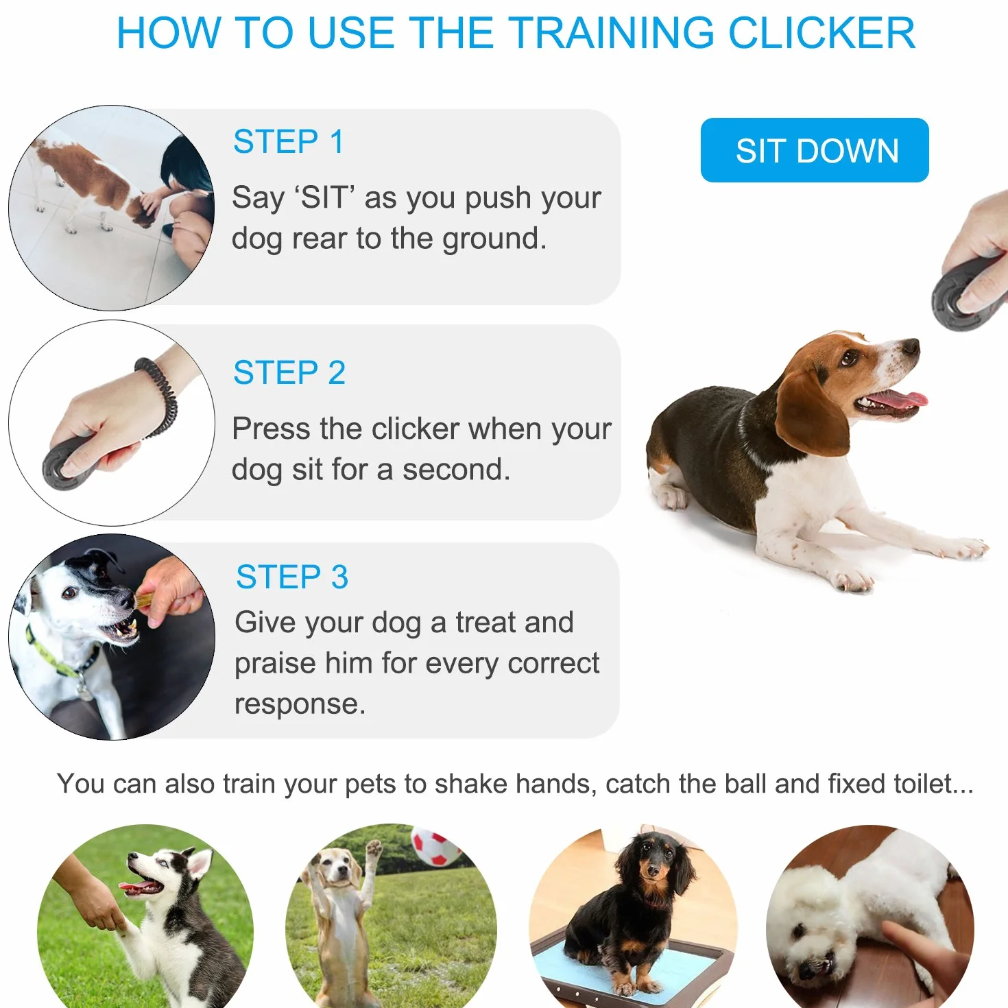 Diyife Pies Clicker 4 Kolor Training Clicker z Elastyczna Opaska na Nadgarstek i Dużym Przyciskiem do Szkolenia Psów