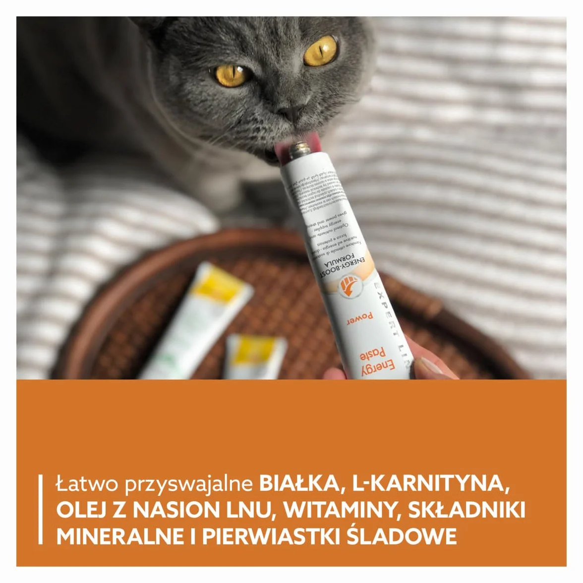 GimCat EXPERT LINE Energy pasta - Funkcjonalny przysmak dla kotów, który dostarcza energię i składniki odżywcze - 1 tubka (1 x 50 g)