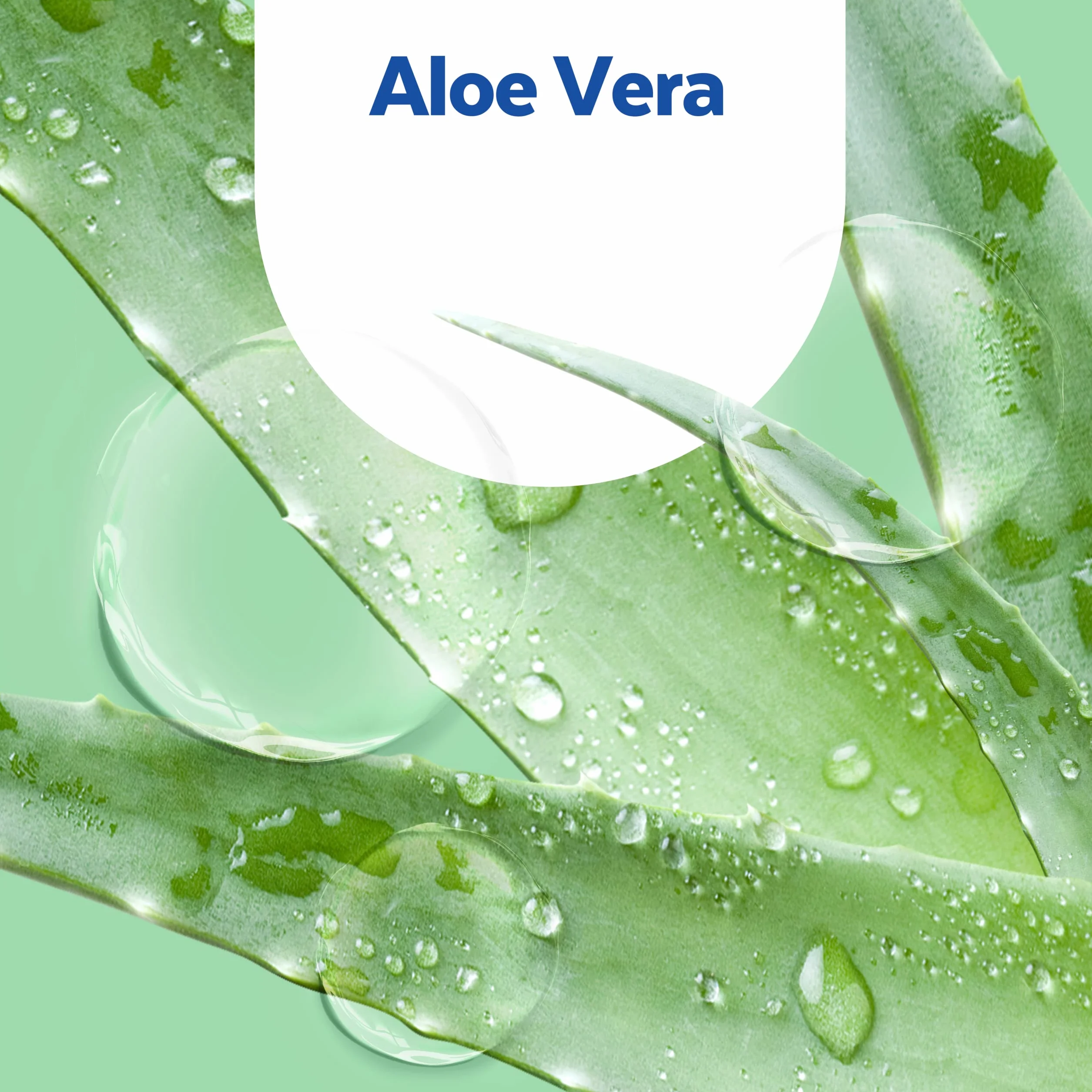 Sagrotan No-Touch automatyczny dozownik mydła, biały – opakowanie magazynowe – wraz z wkładami Sagrotan Aloe Vera – 2 x 250 ml mydła w płynie