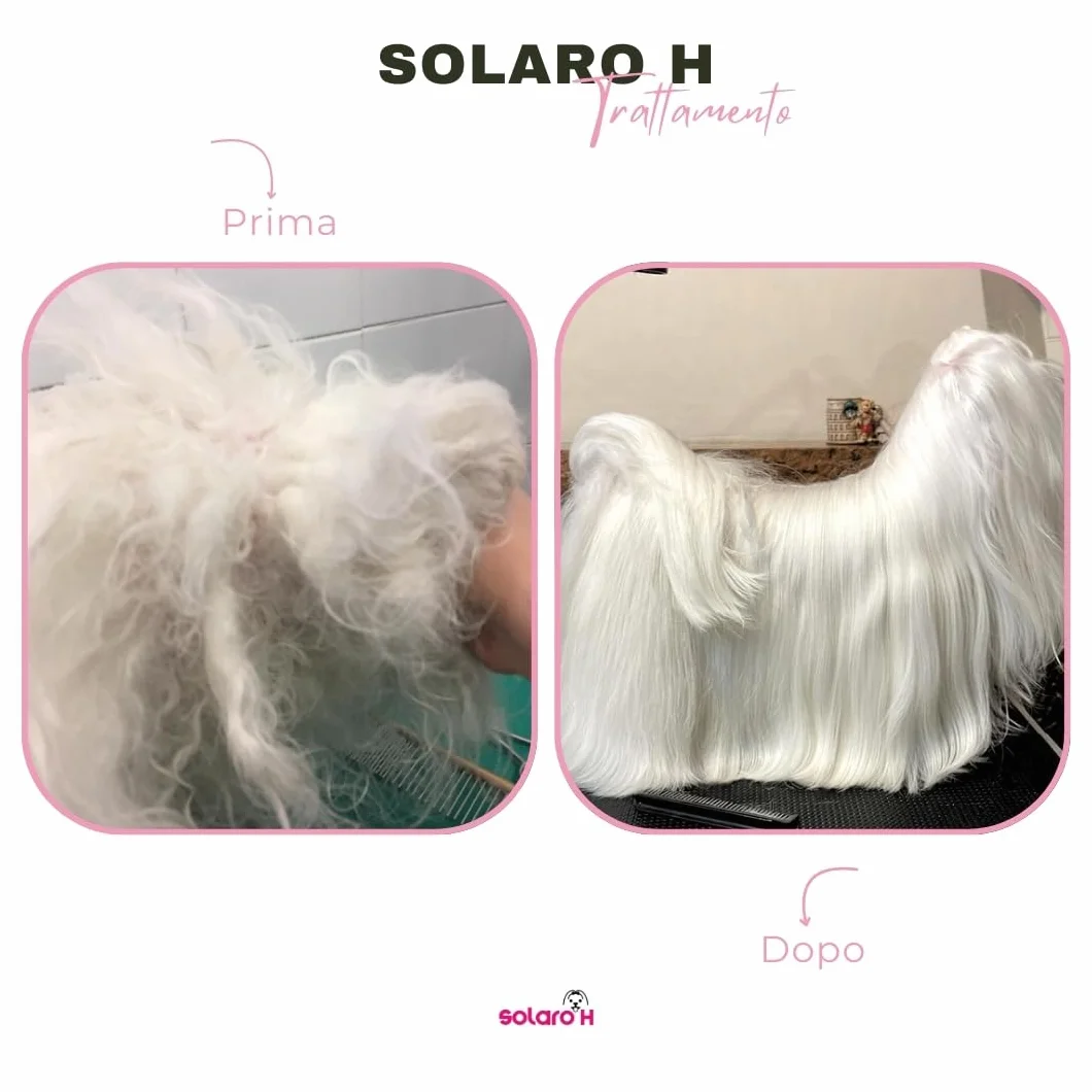 Solaro H Super Flash Gold spray do rozplątywania dla psów, 250 ml, polerujący i pielęgnujący