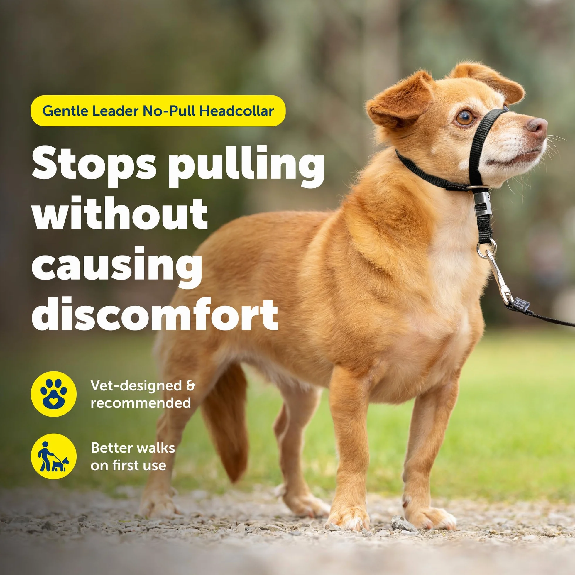 PetSafe Gentle Leader Headcollar No-Pull Dog Collar - Helps Improve Walks - Durable Nylon Construction - Padded Nose Loop - Adjustable Fit - Comfort Walking Halter - Petite, Black