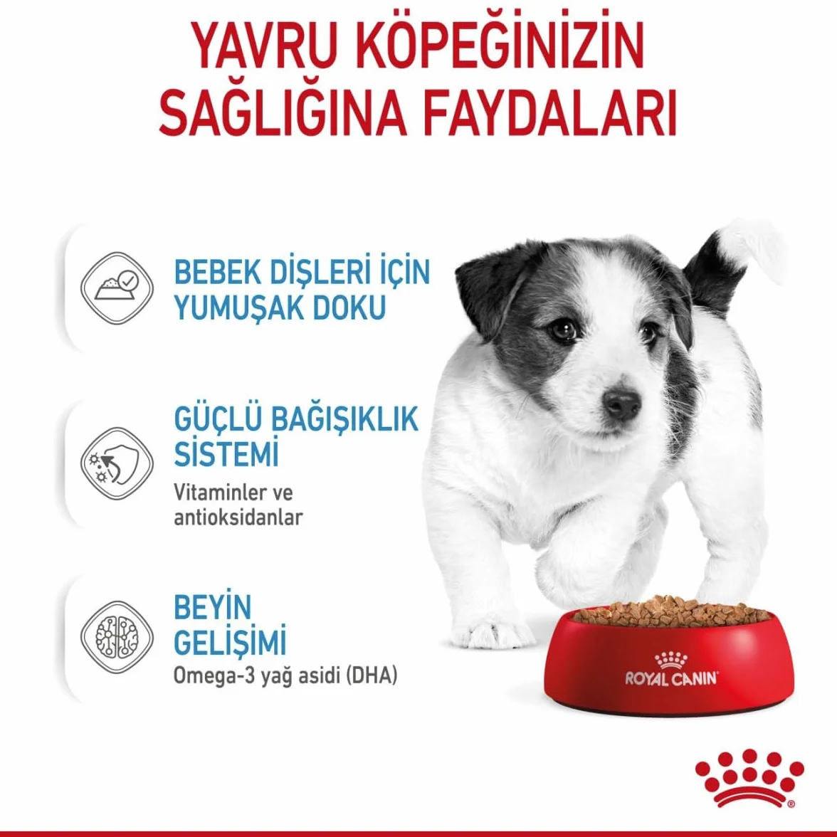 Royal Canine Puppy Mini Pudełko 1000 g